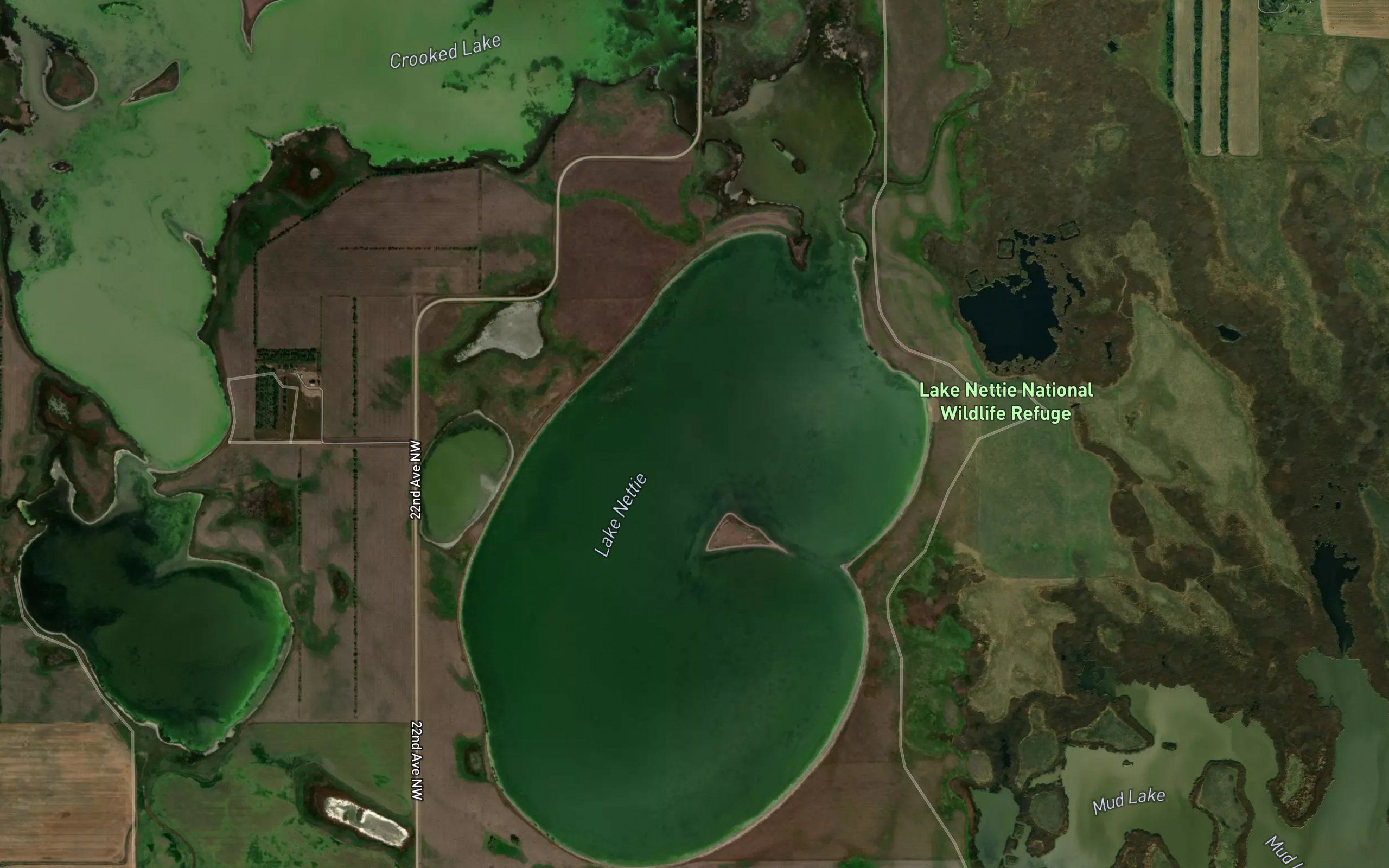 Lake Nettie