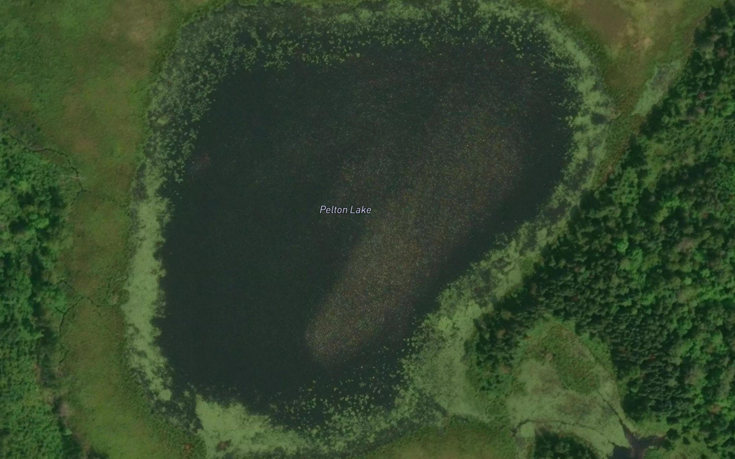 Pelton Lake
