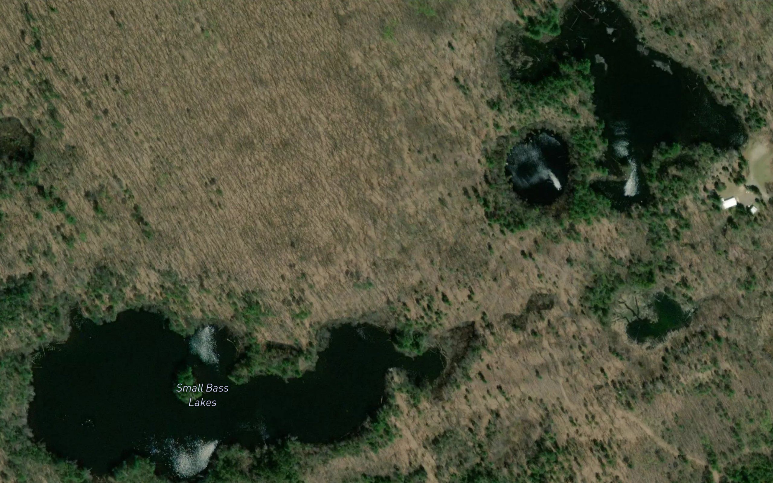 Small Bass Lakes
