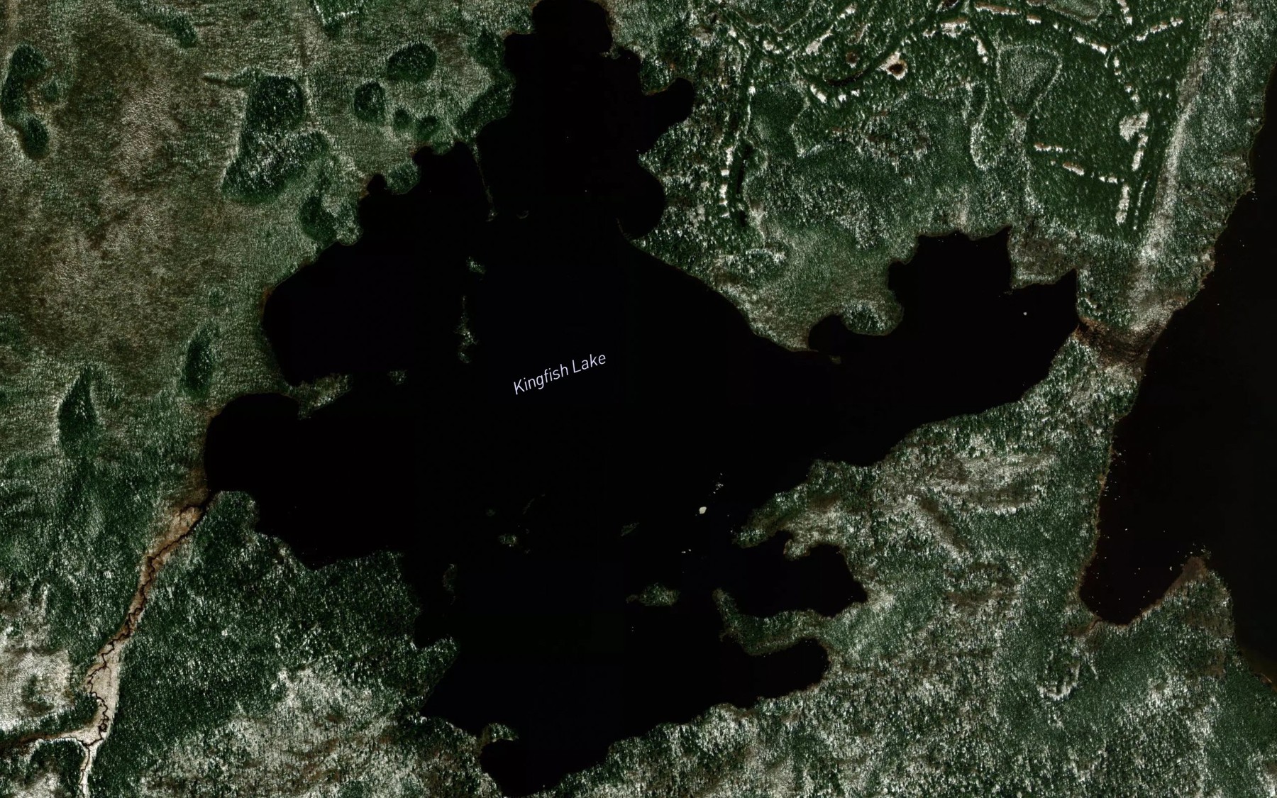 Satellite map of the Kingfish Lake