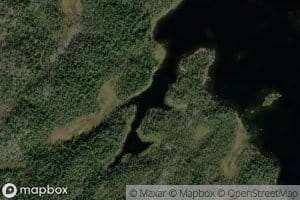 Niementyvivuopaja