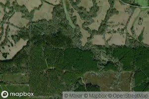 East Fork Waggoner Creek