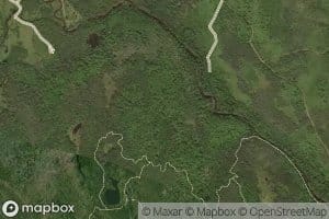 Meadow Brook