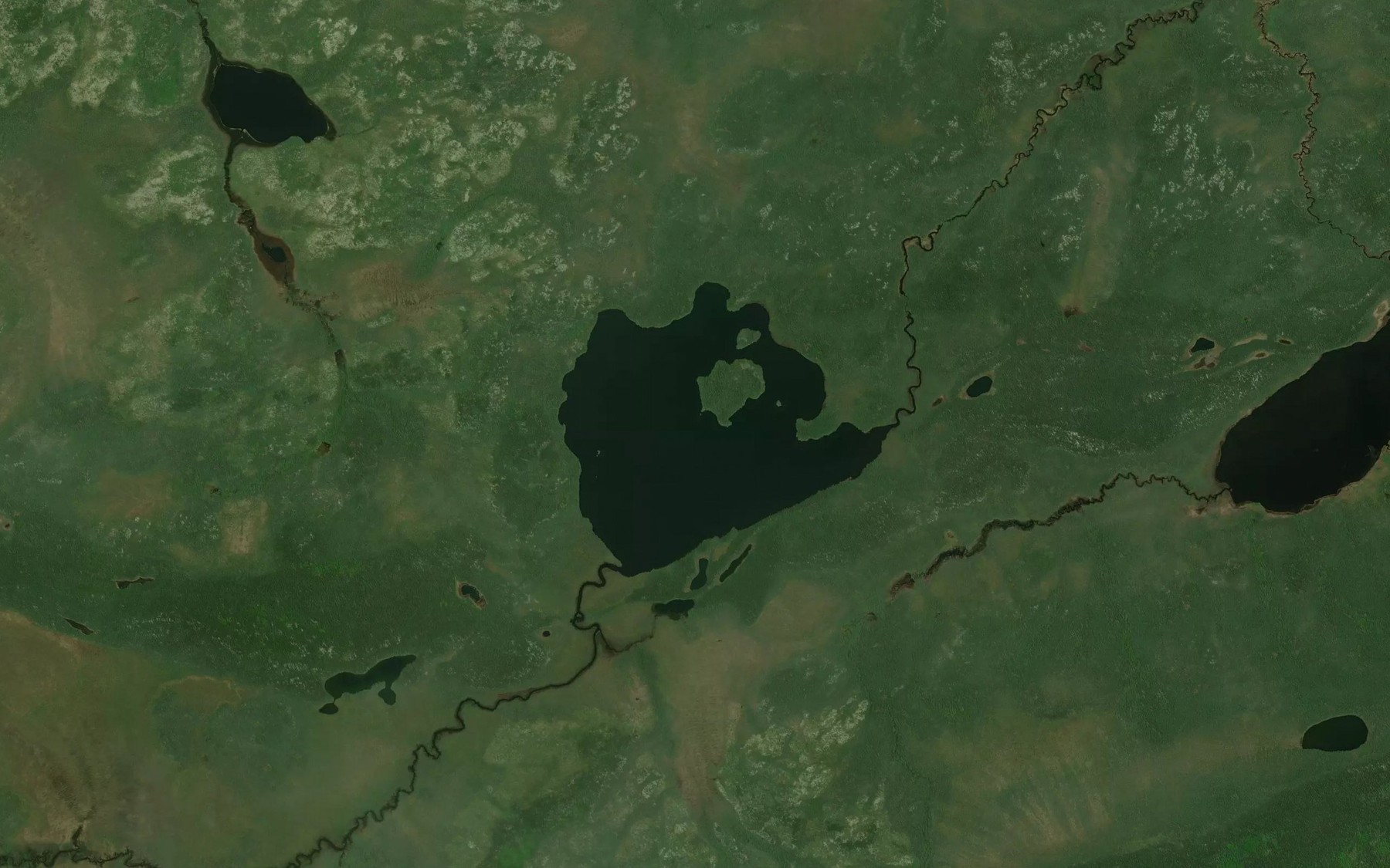 Satellite map of the Douglas Lake