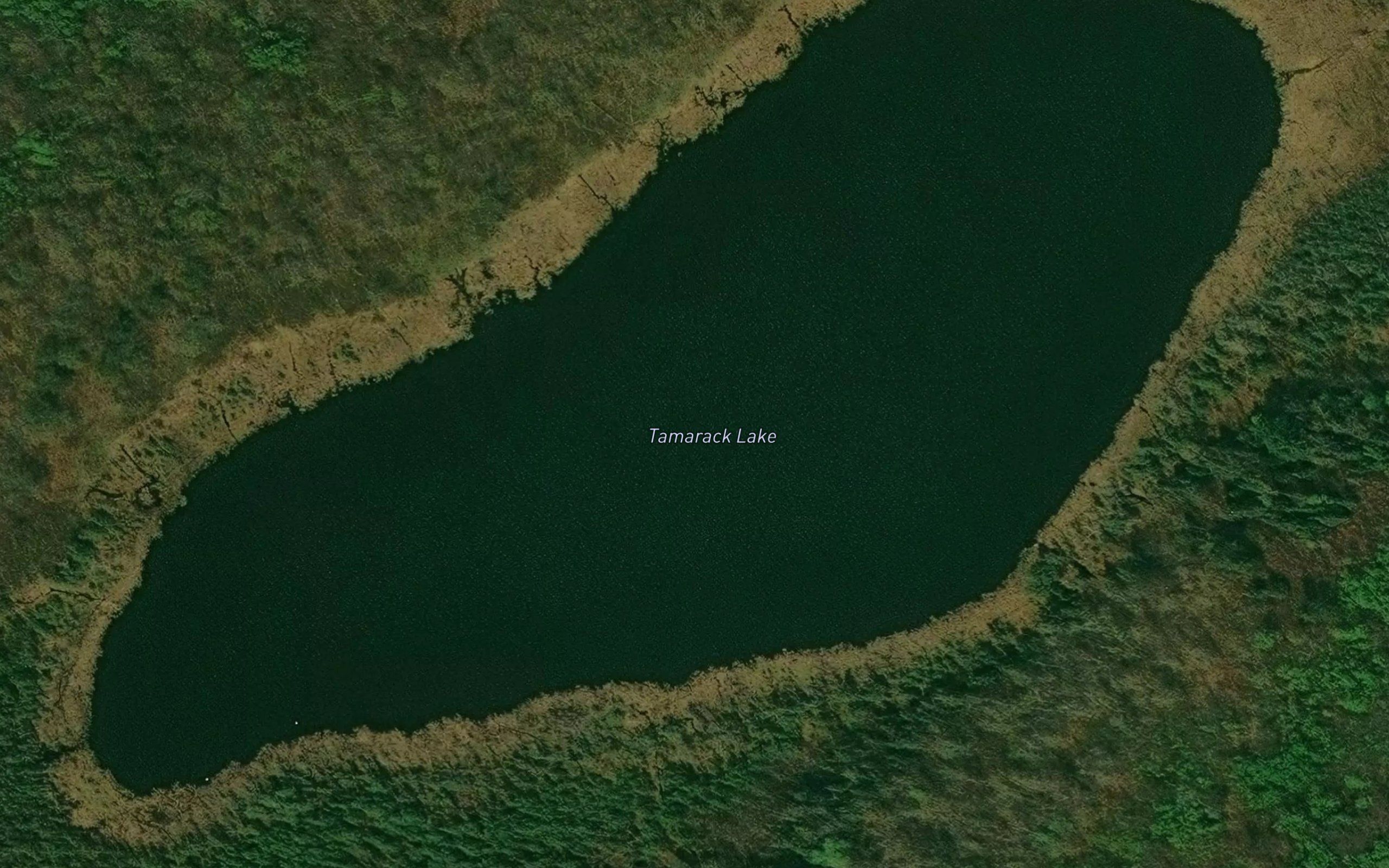 Tamarack Lake