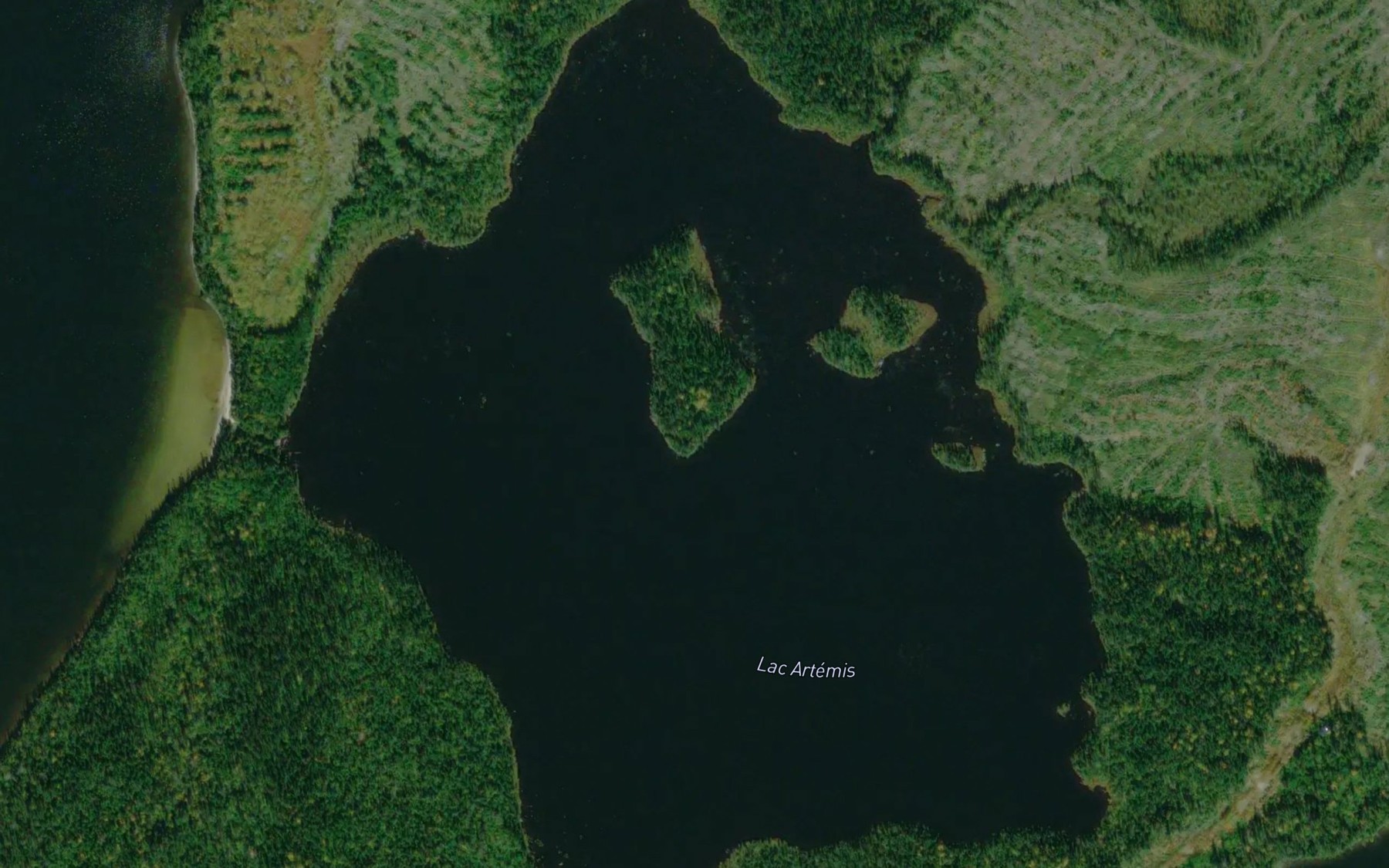 Satellite map of the Lac Artemis