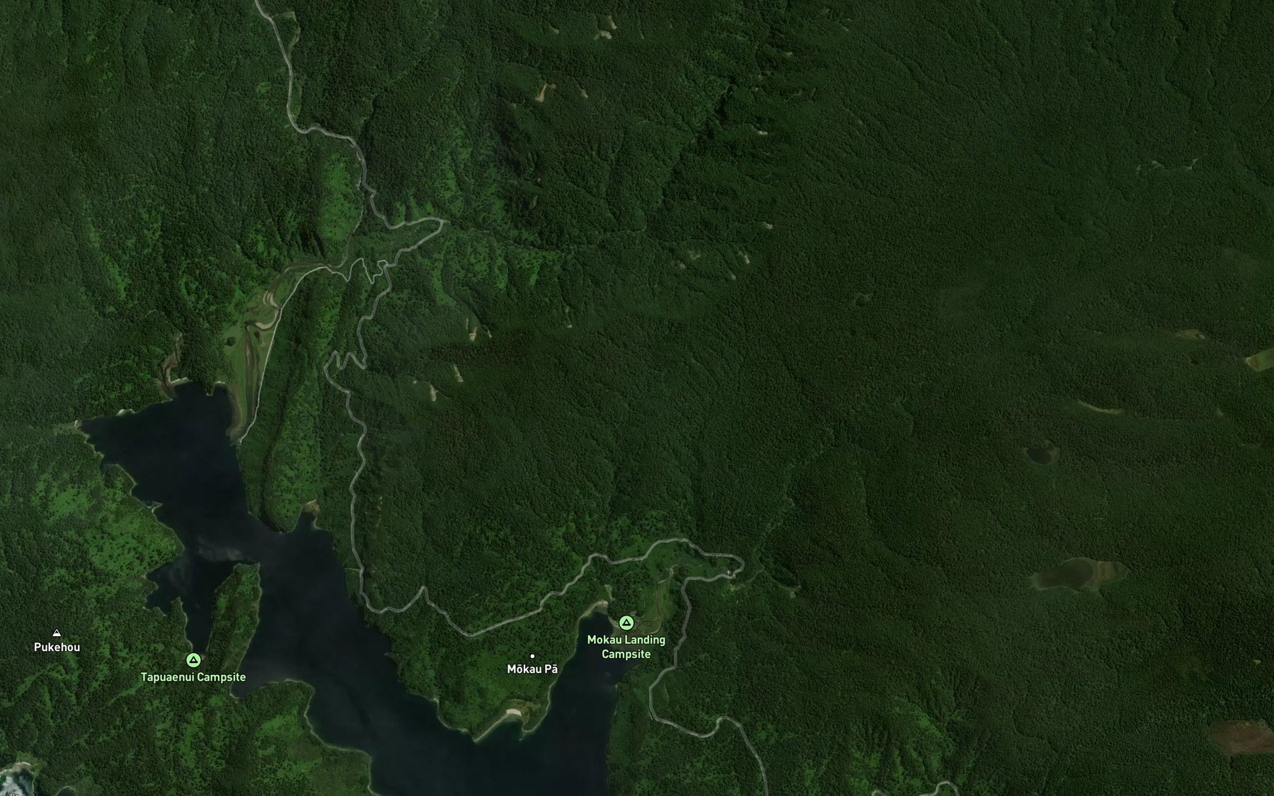 Satellite map of the Tauwhare Stream