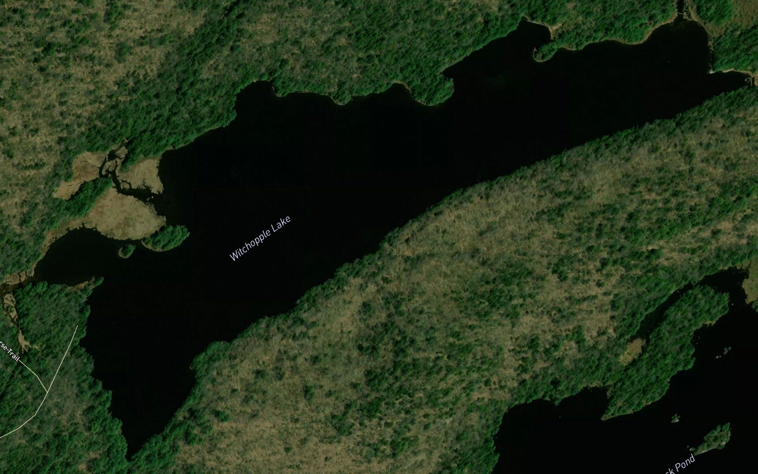Witchhopple Lake