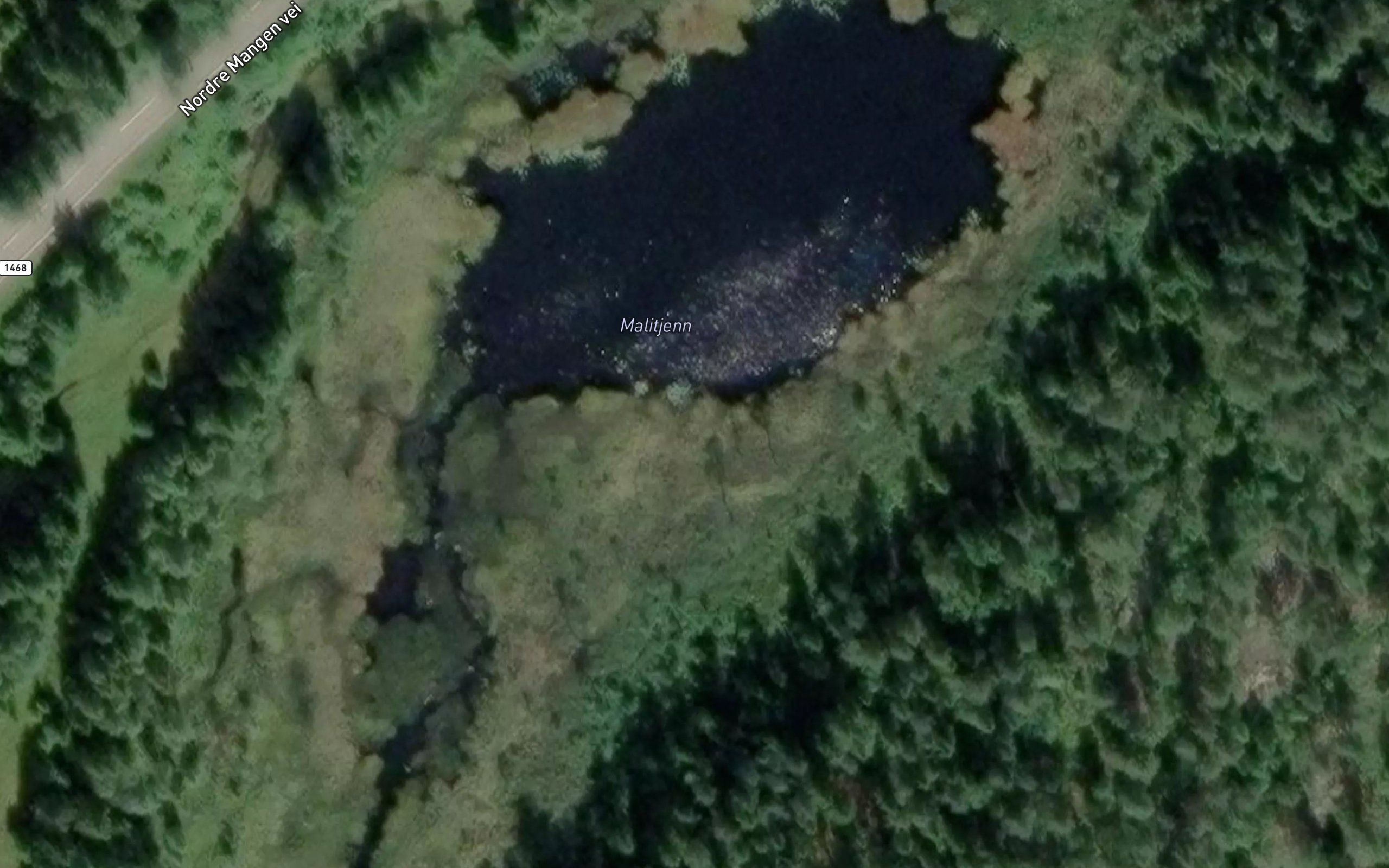 Malitjern