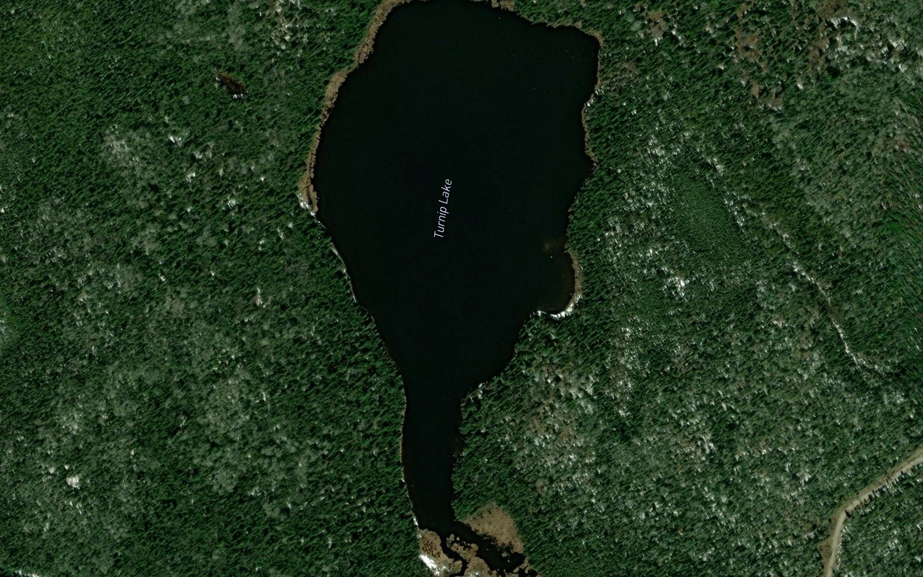 Satellite map of the Turnip Lake