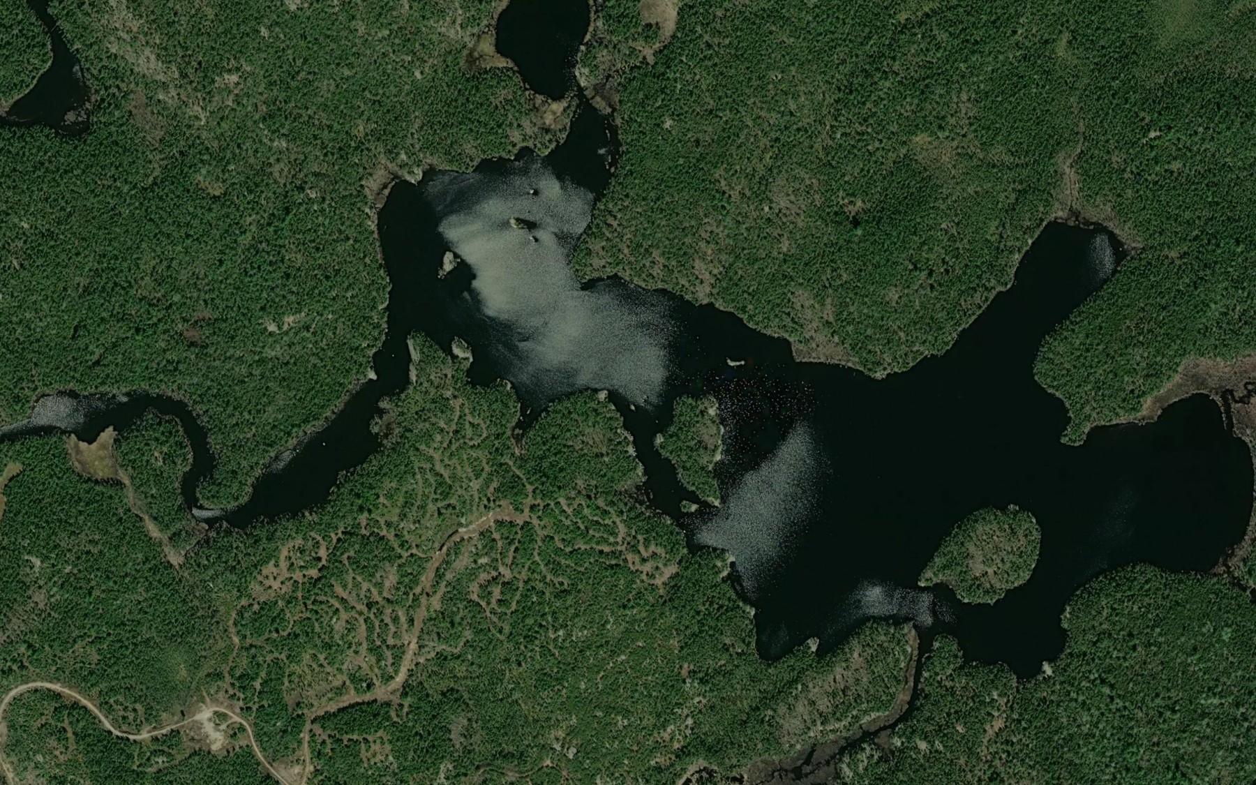 Satellite map of the Munster Lake