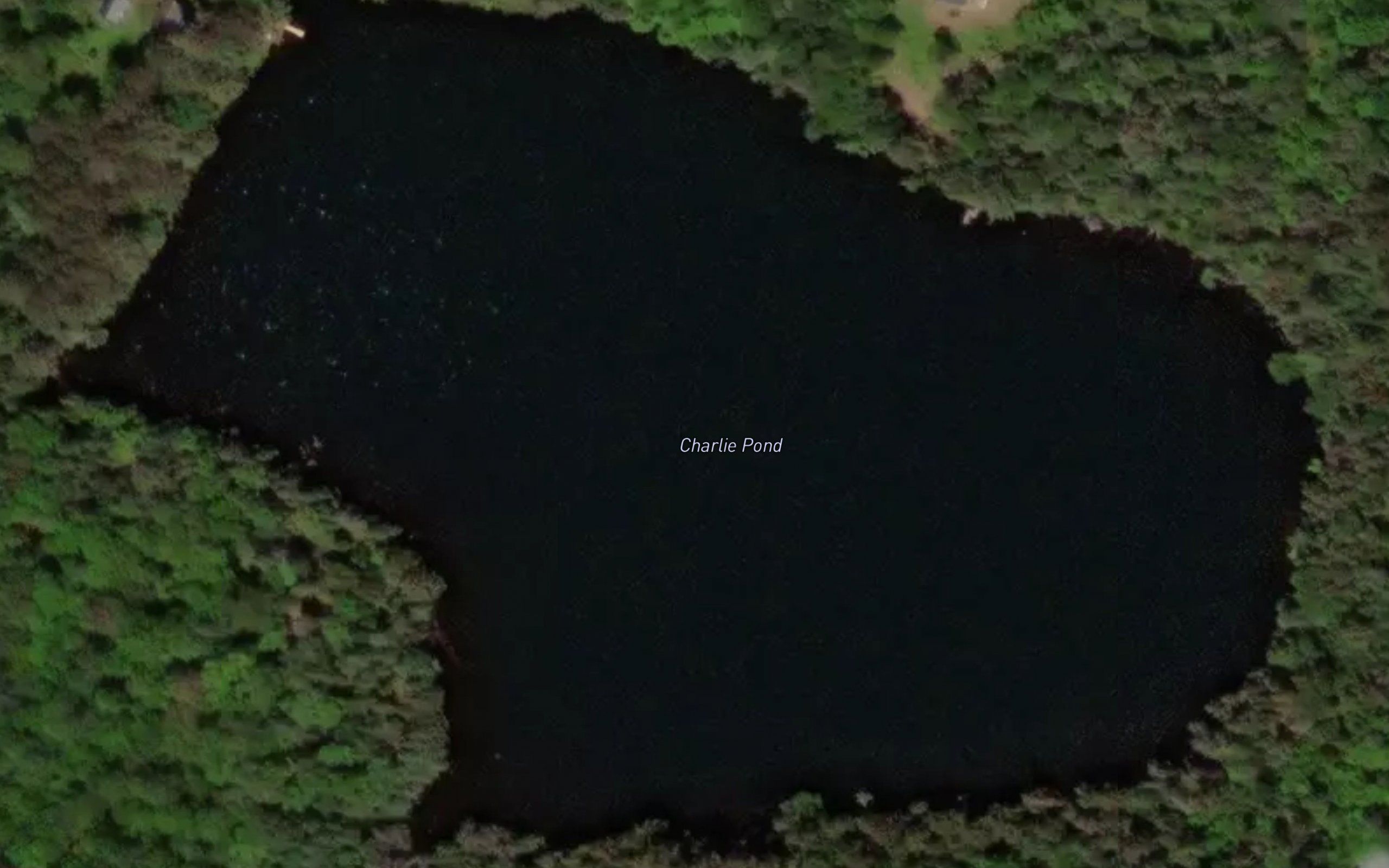 Charlie Pond