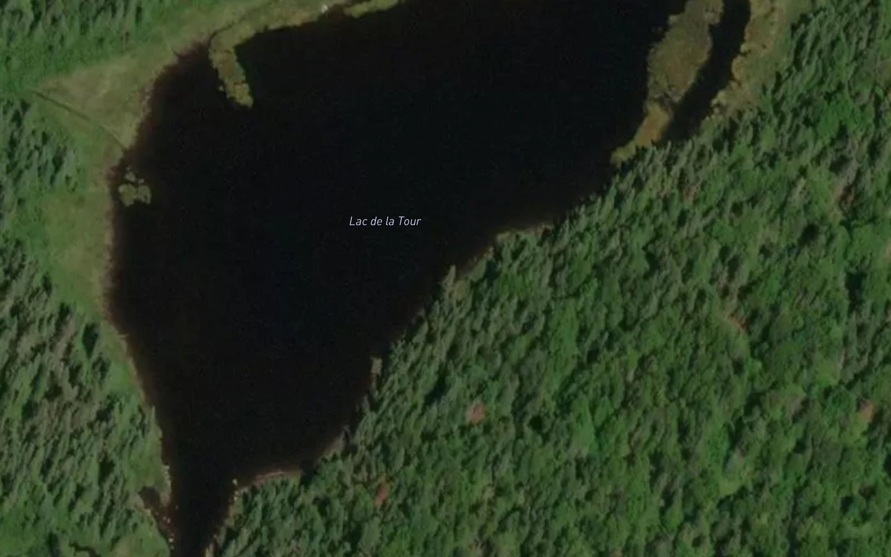 Satellite map of the Lac de la Tour