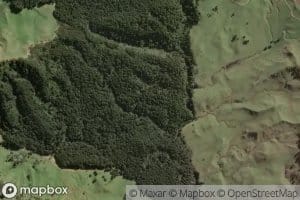 Moawhango-iti Stream