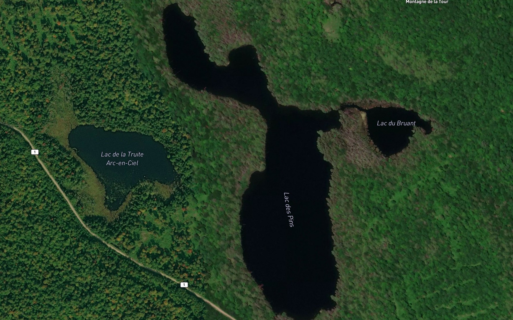 Satellite map of the Lac des Pins
