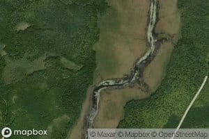 Shannon Brook