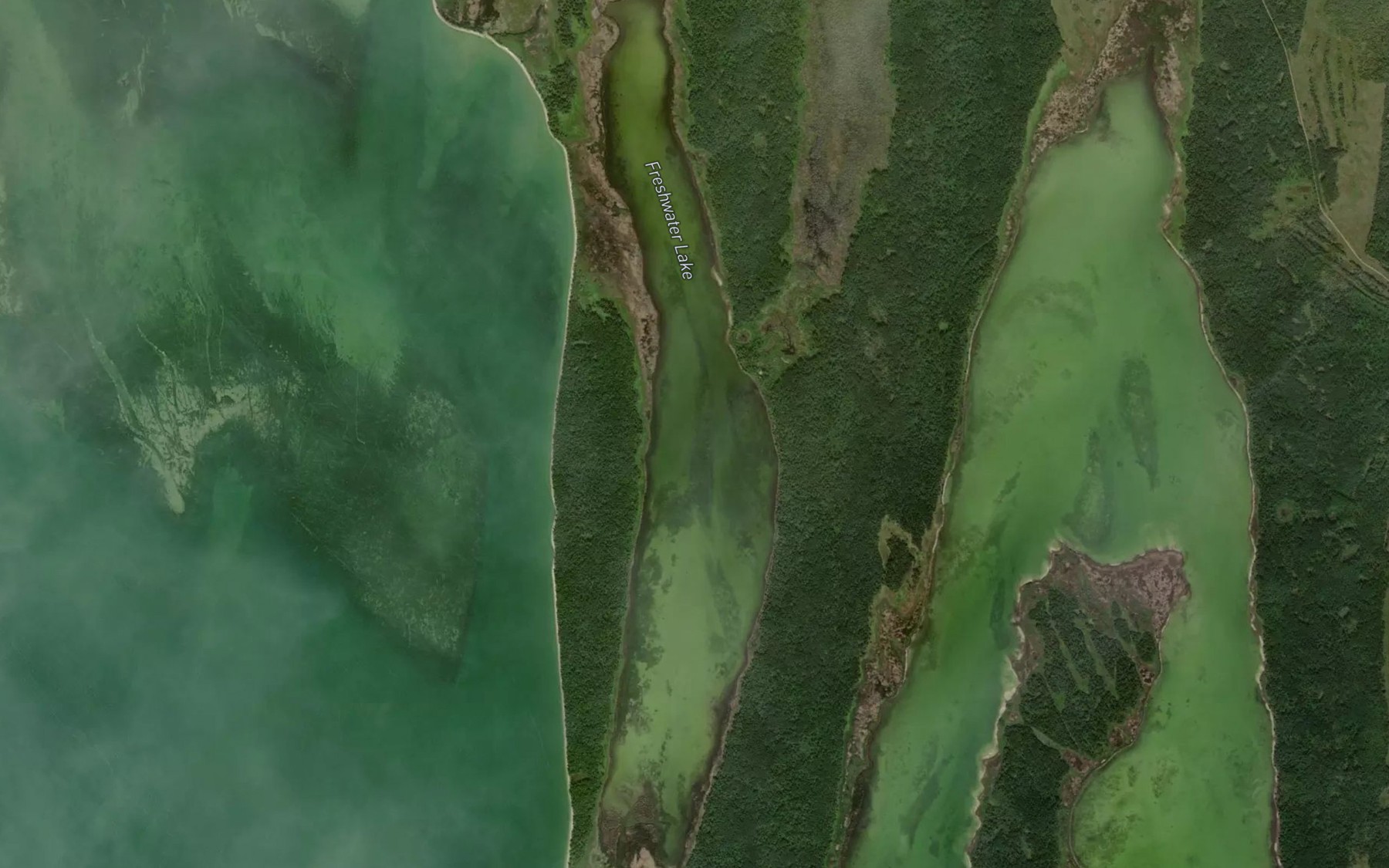 Satellite map of the Freshwater Lake