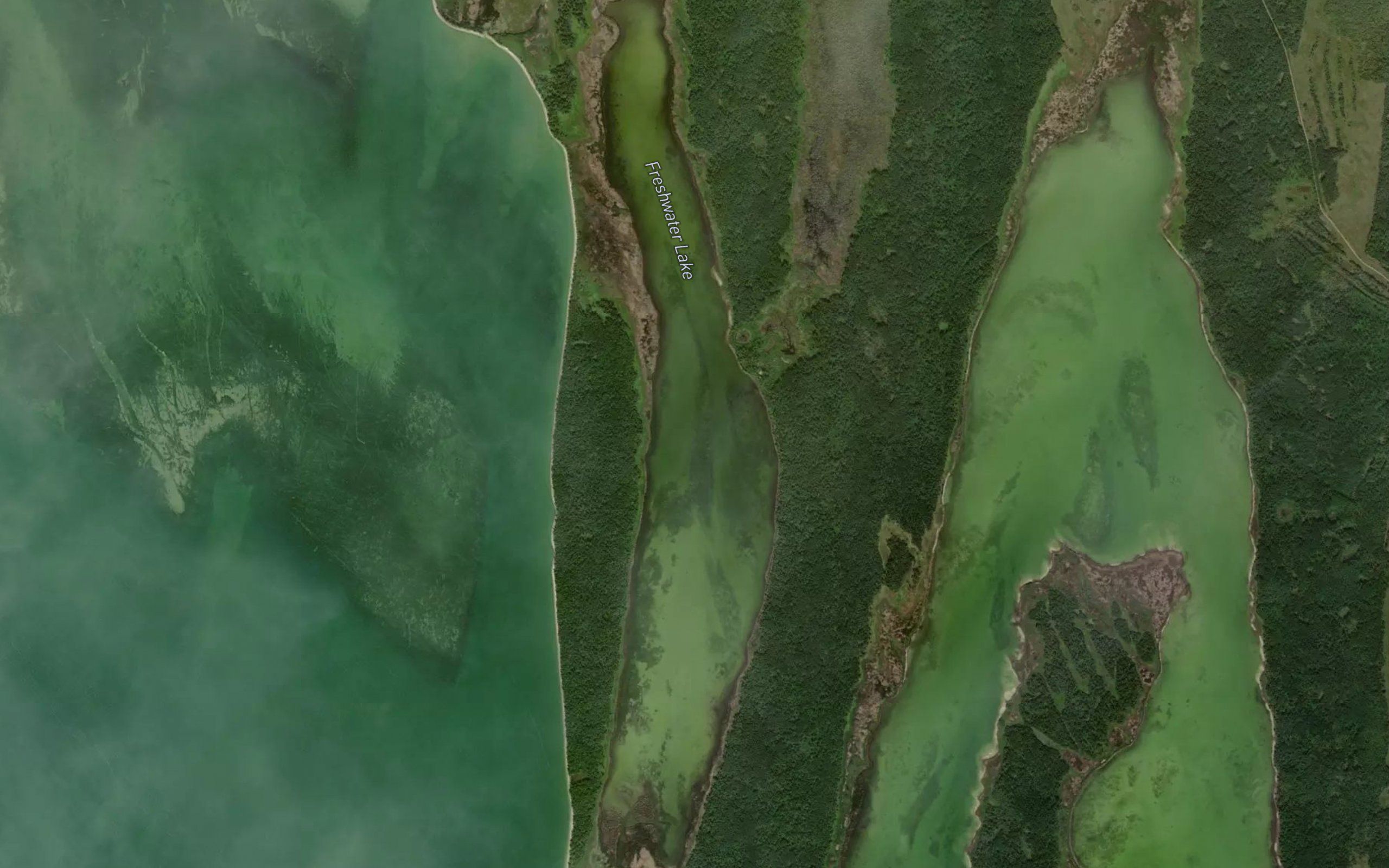 Freshwater Lake