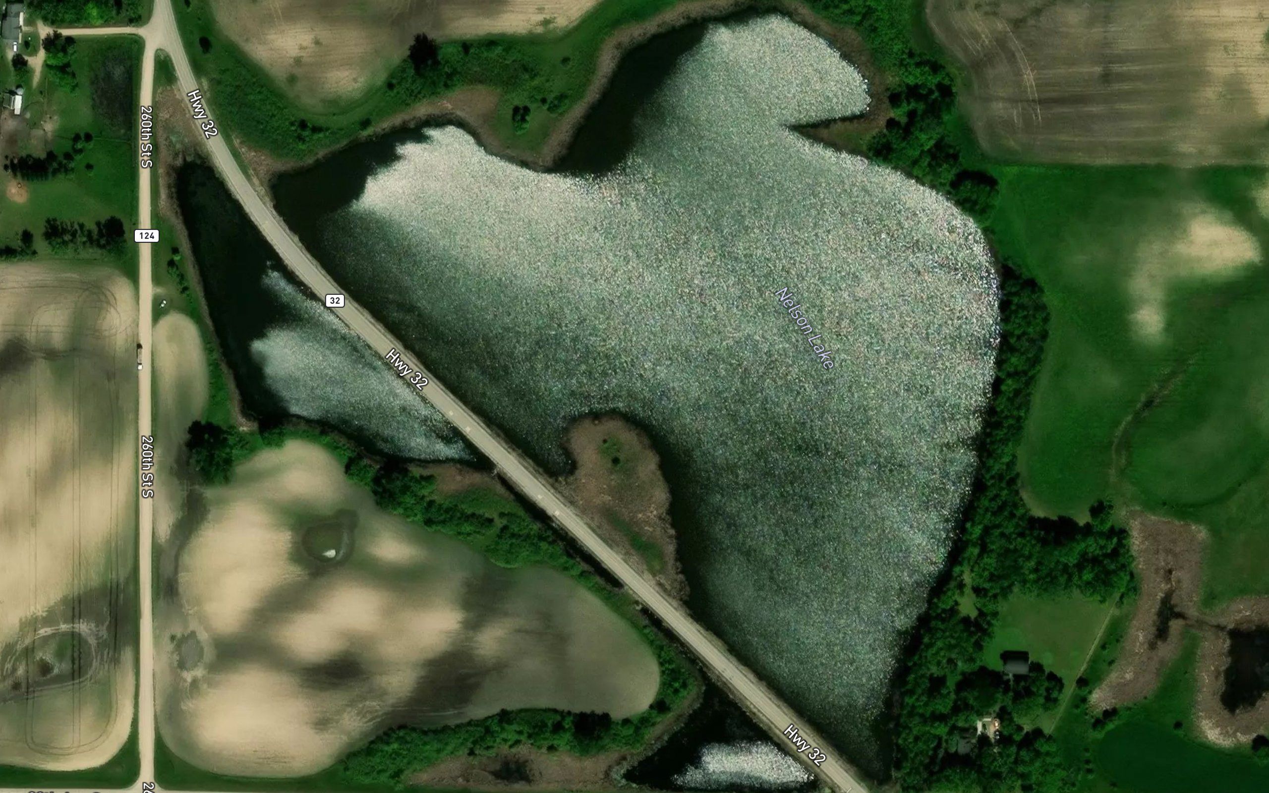 Nelson Lake