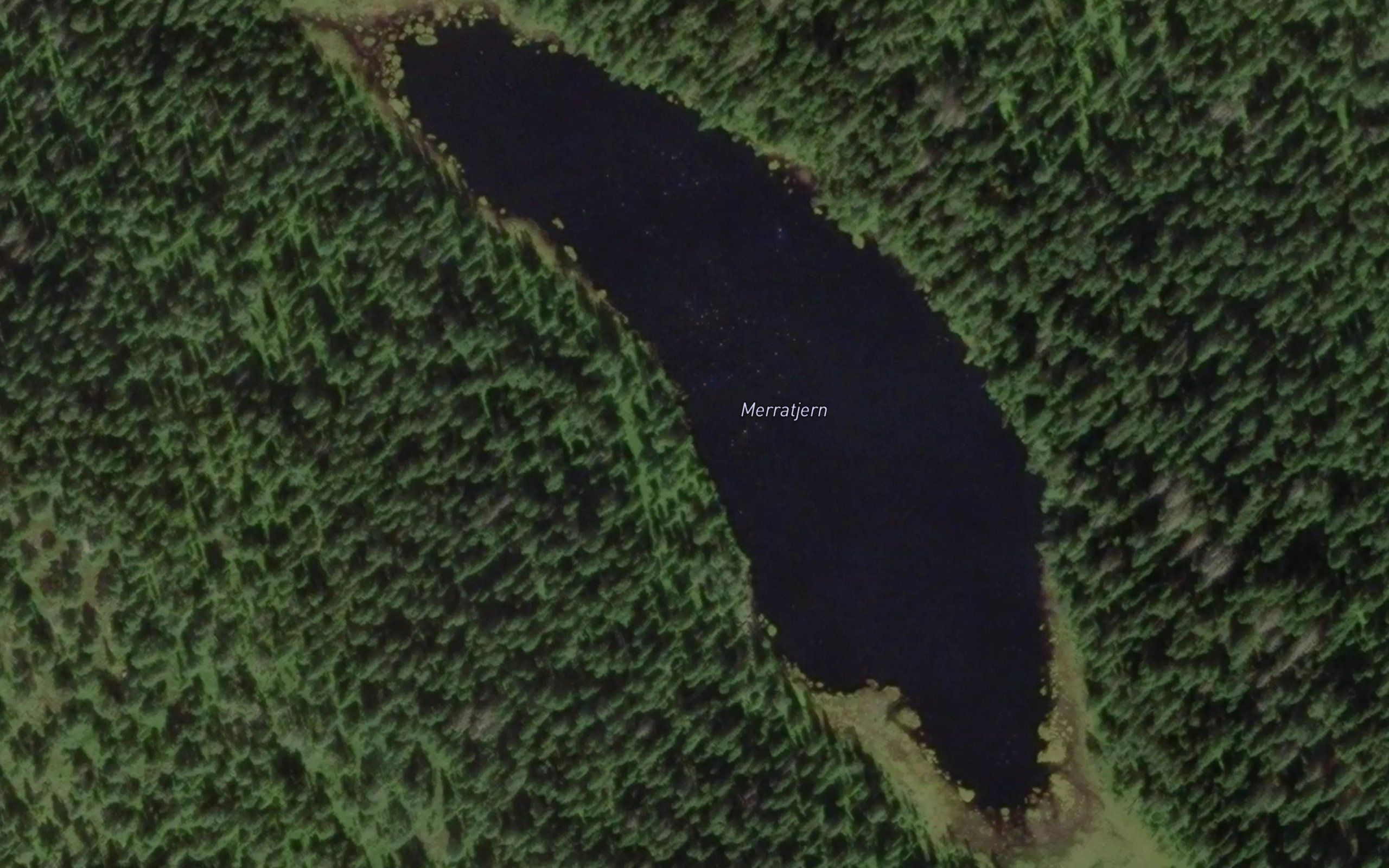 Merratjernet