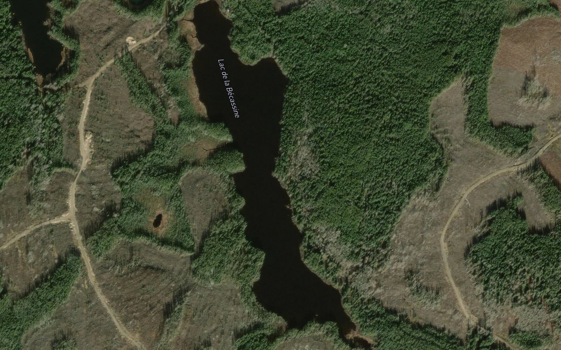 Satellite map of the Lac de la Becassine