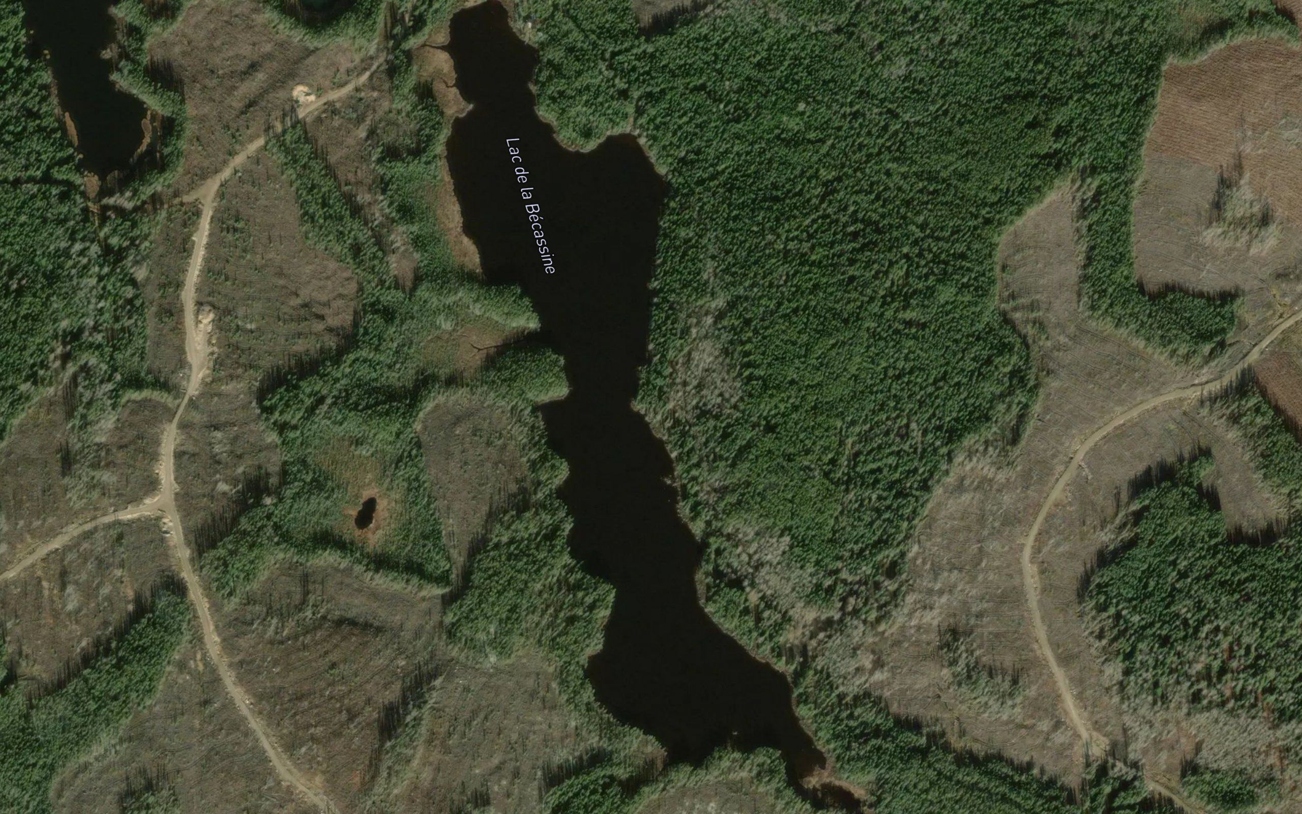 Lac de la Becassine