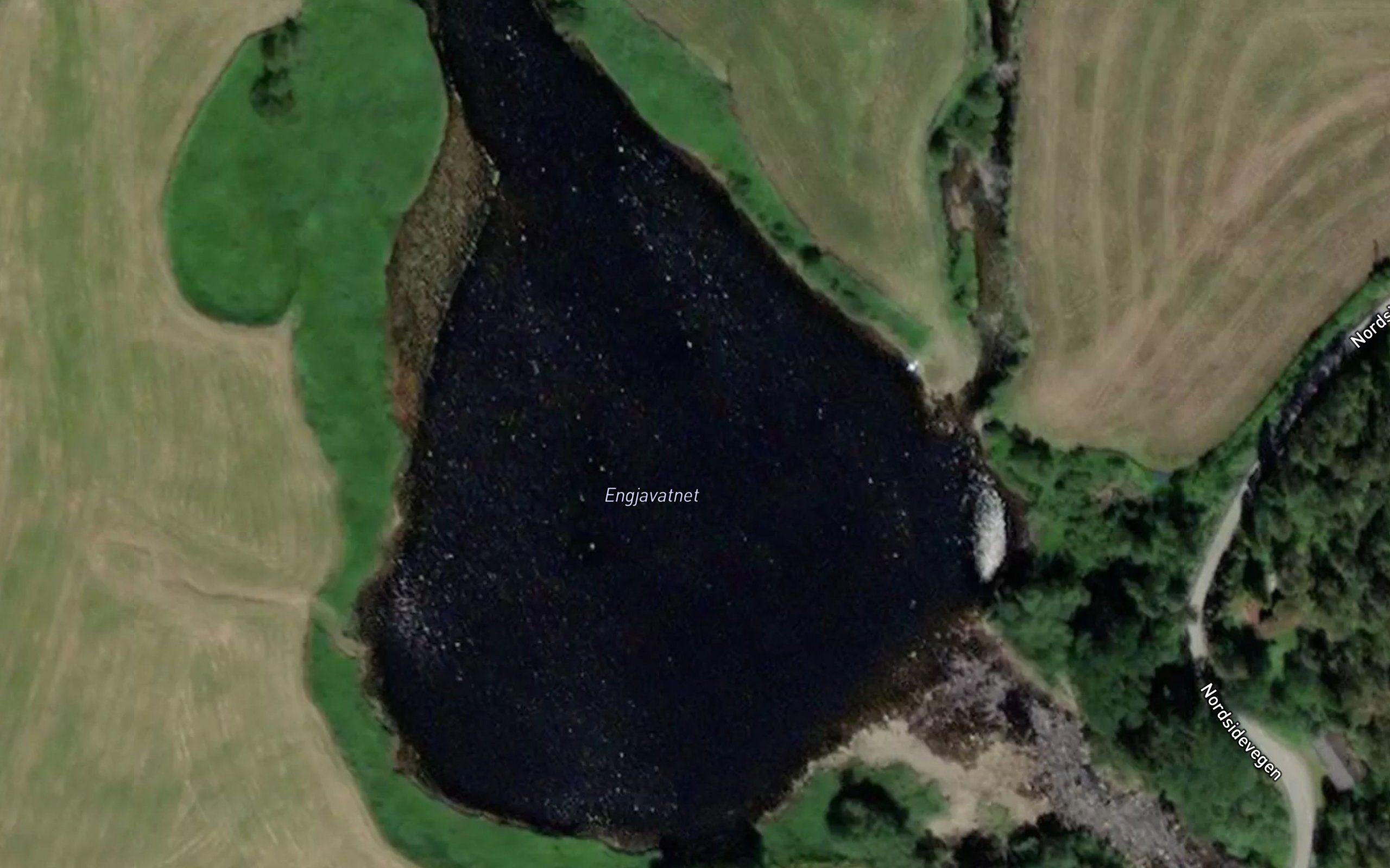 Engjavatnet
