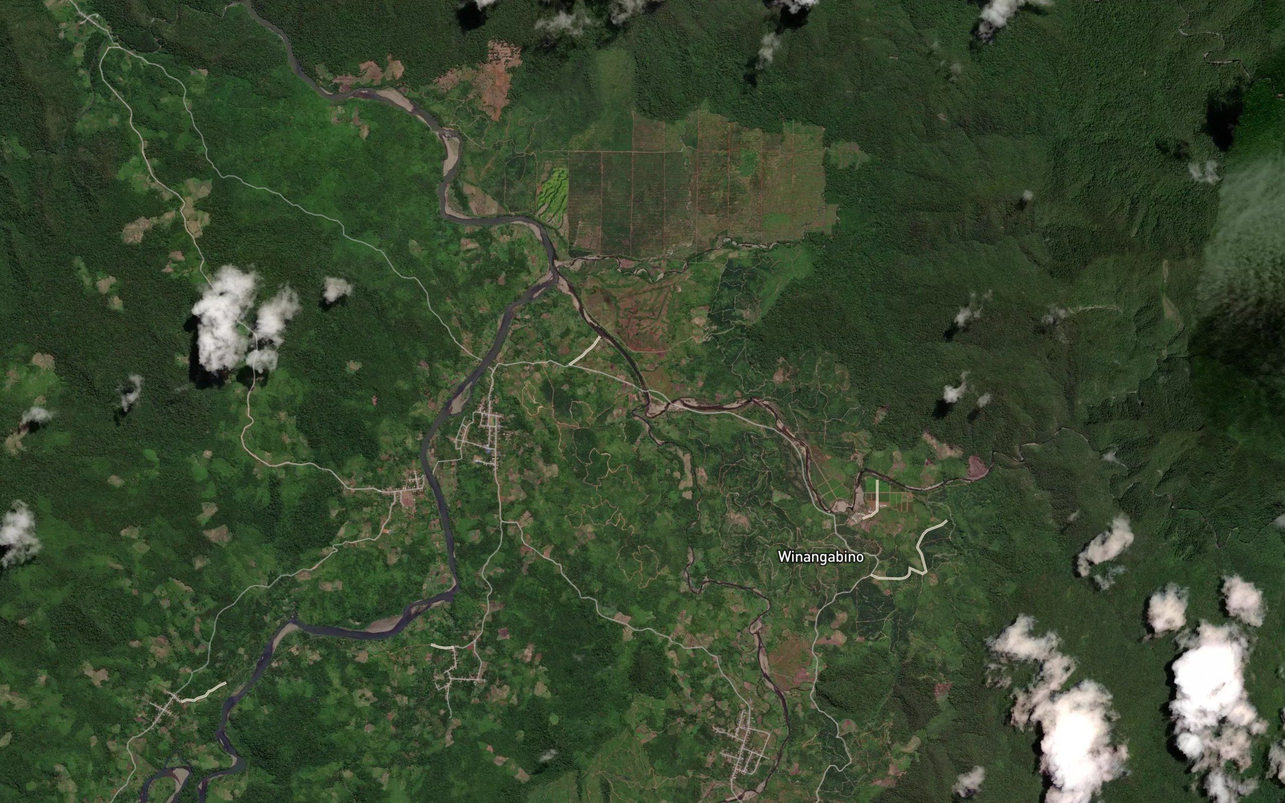 Koro Kauru