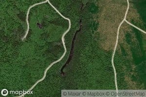 Wangan Brook Deadwater