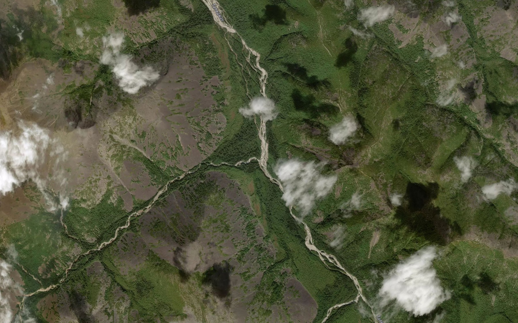 Satellite map of the Medvezhiy