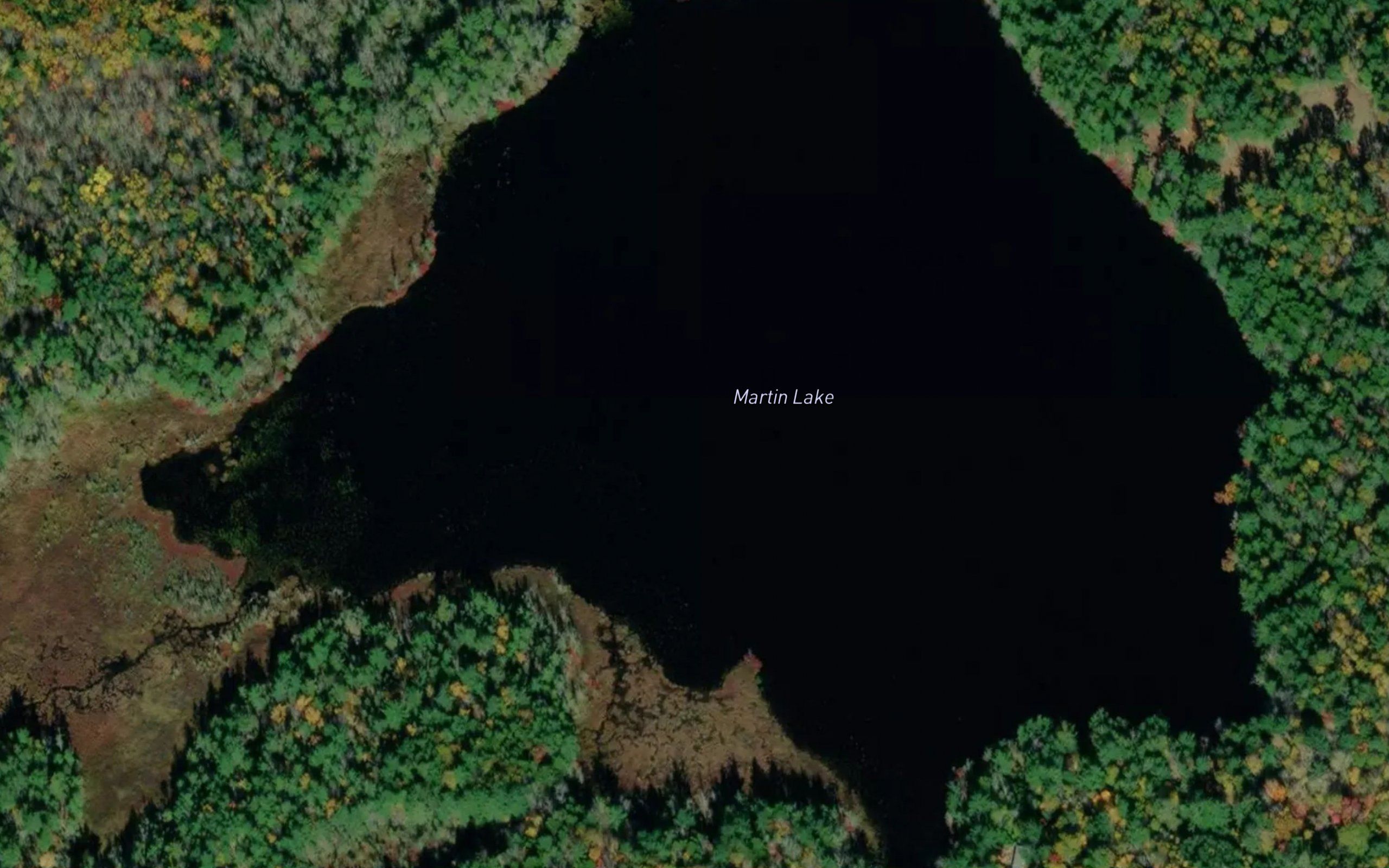 Martin Lake