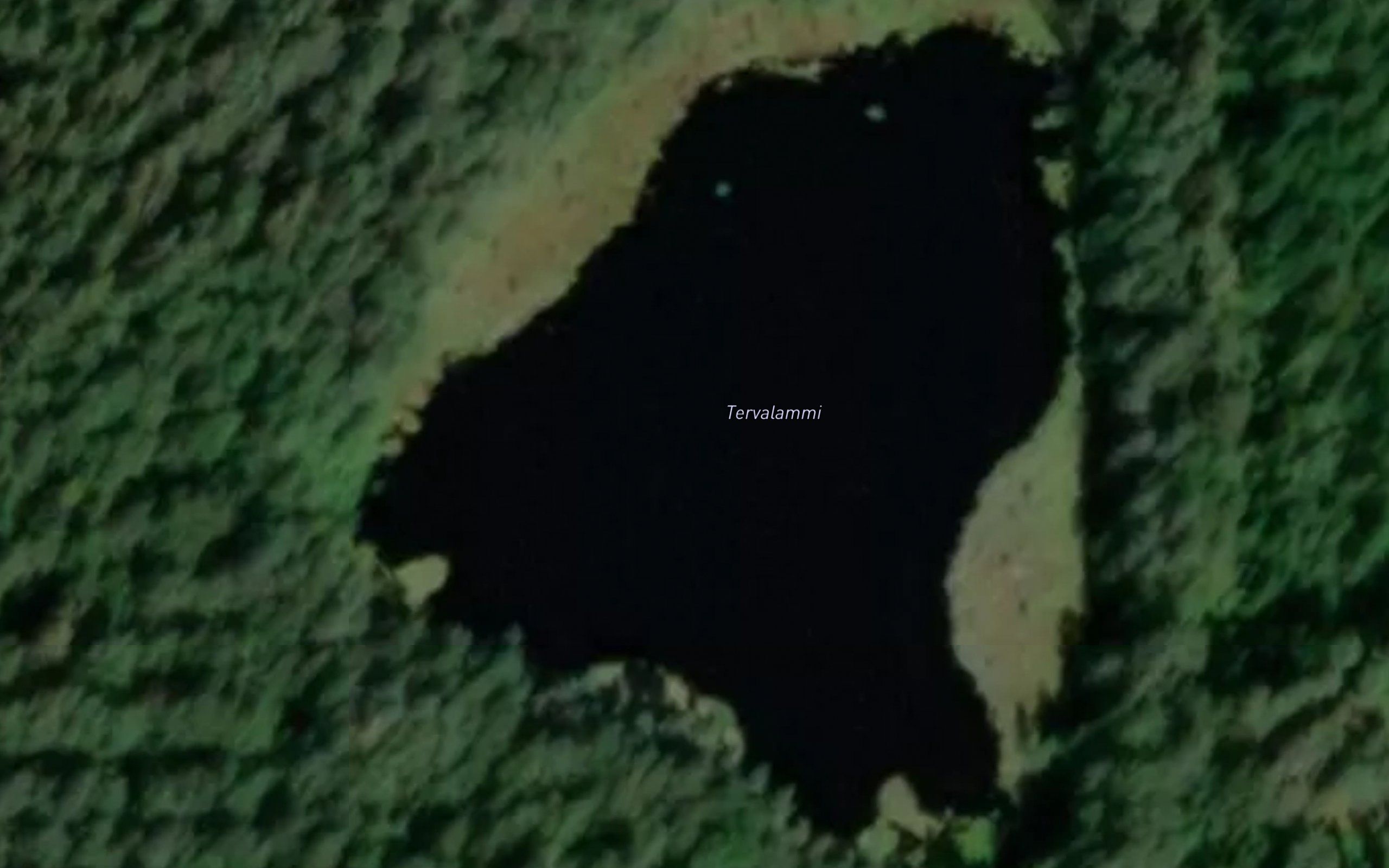 Tervalammi