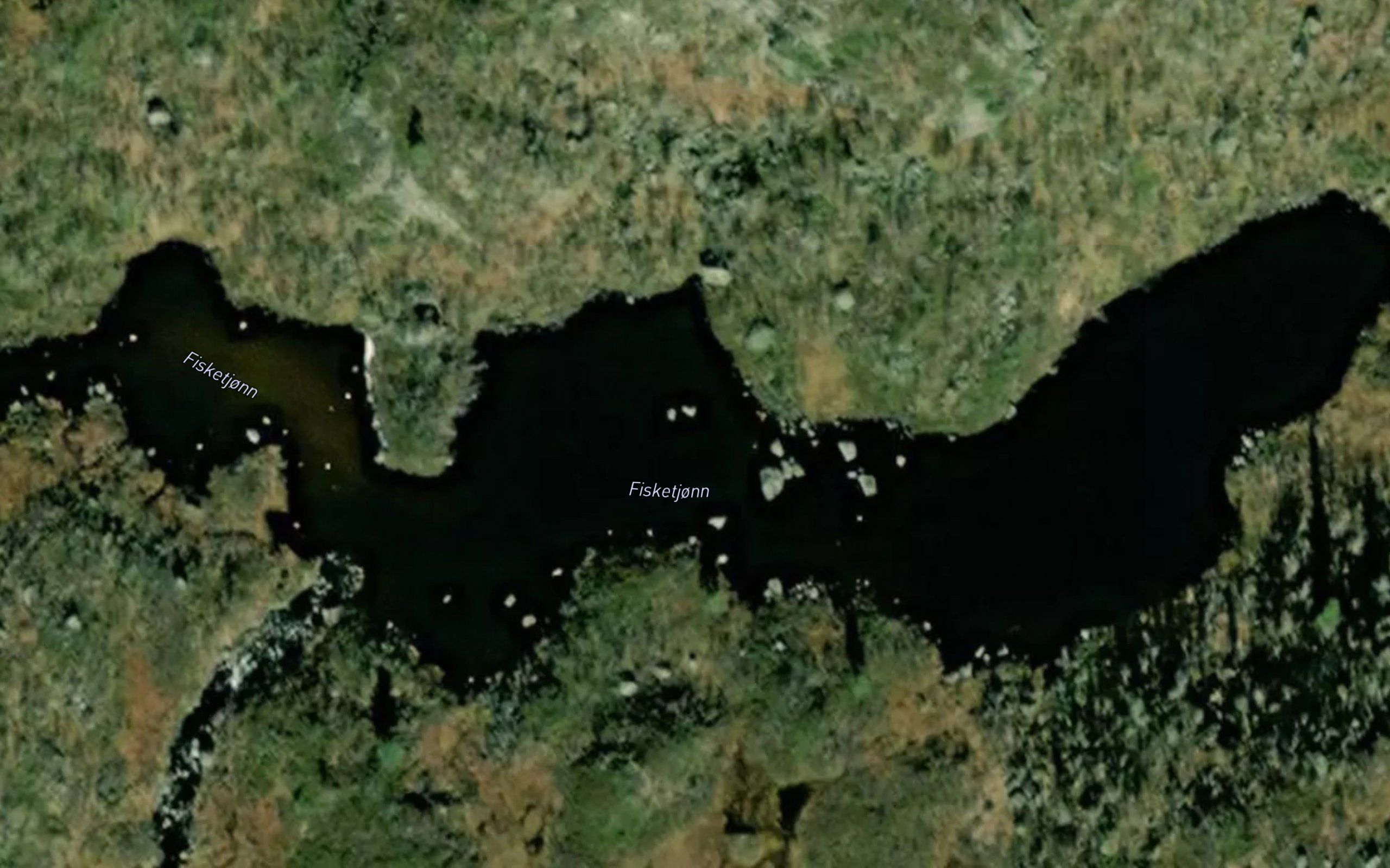 Fisketjorn