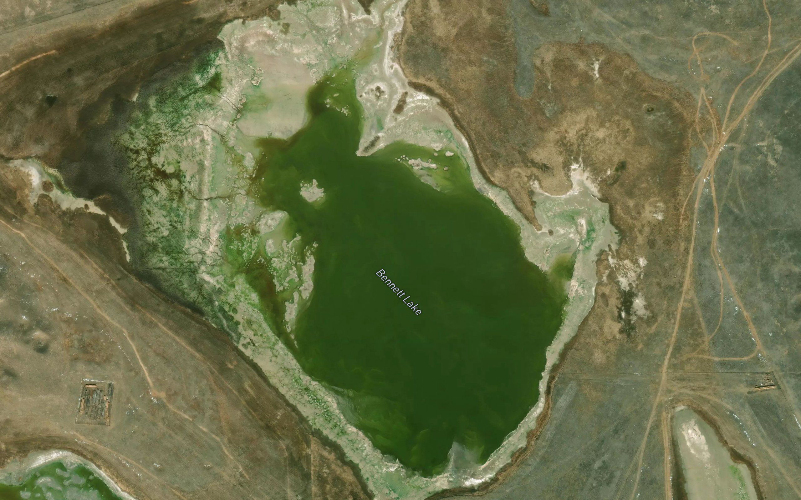 Bennett Lake