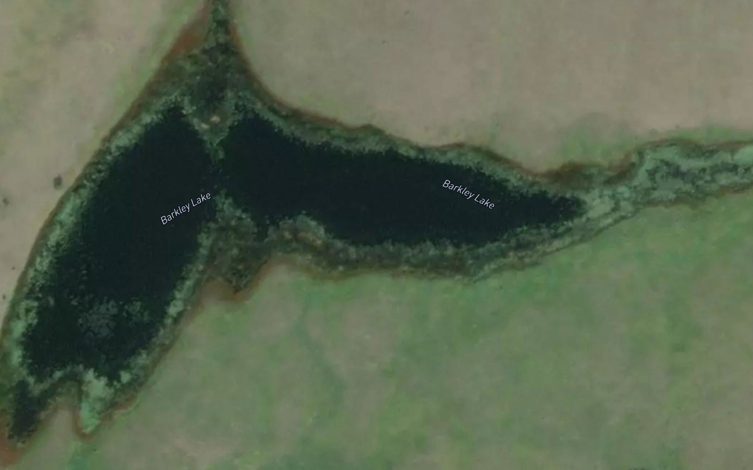 Barkley Lake