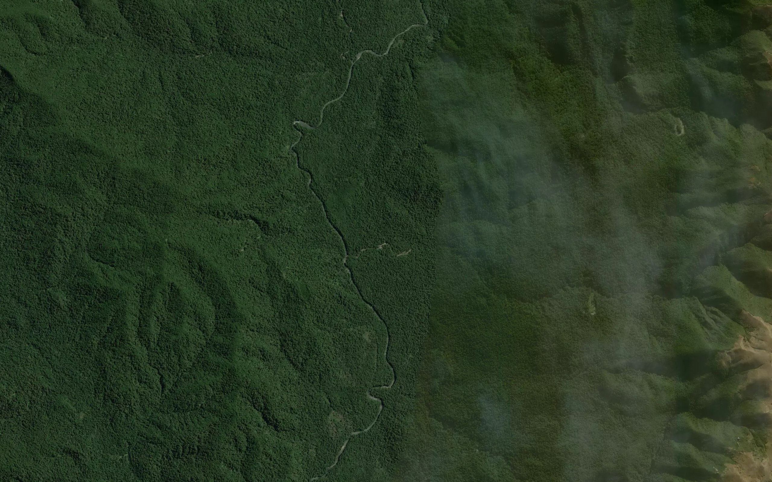 Kaikokopu Stream