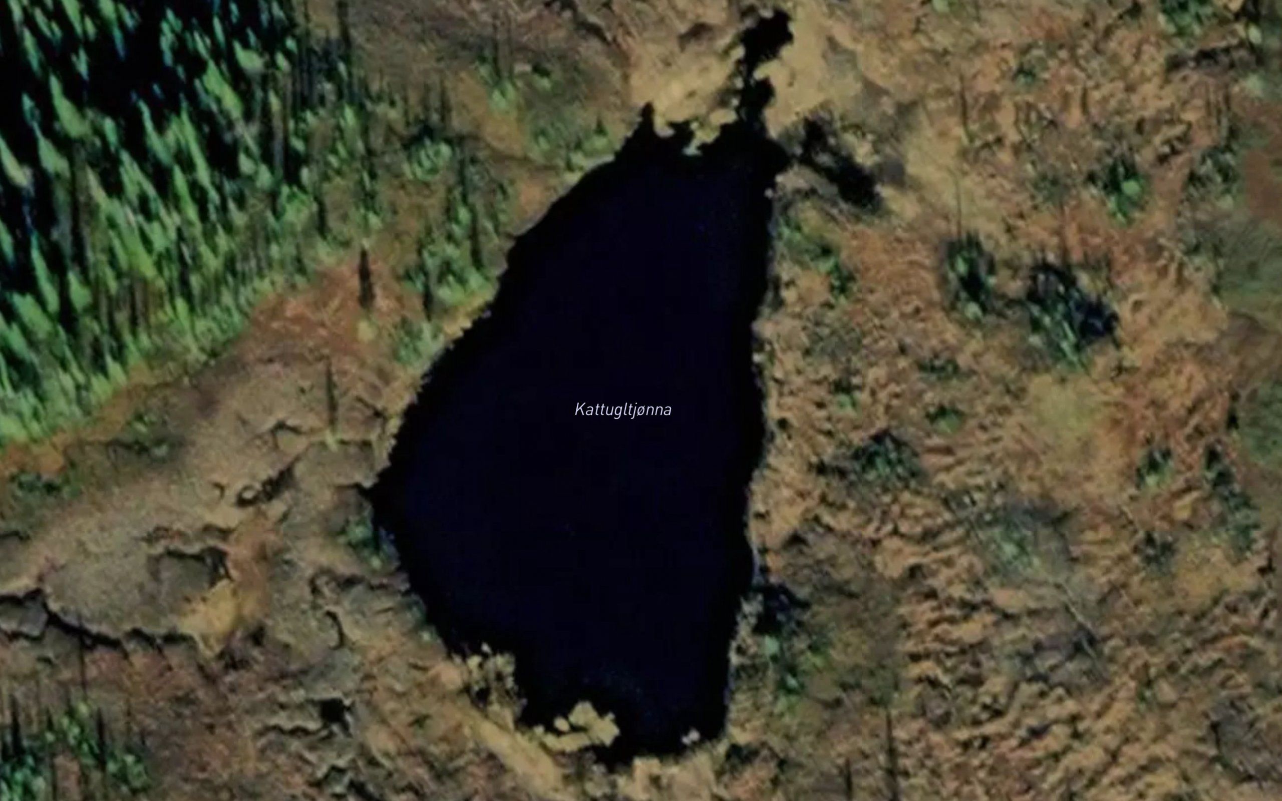 Kattugltjonna