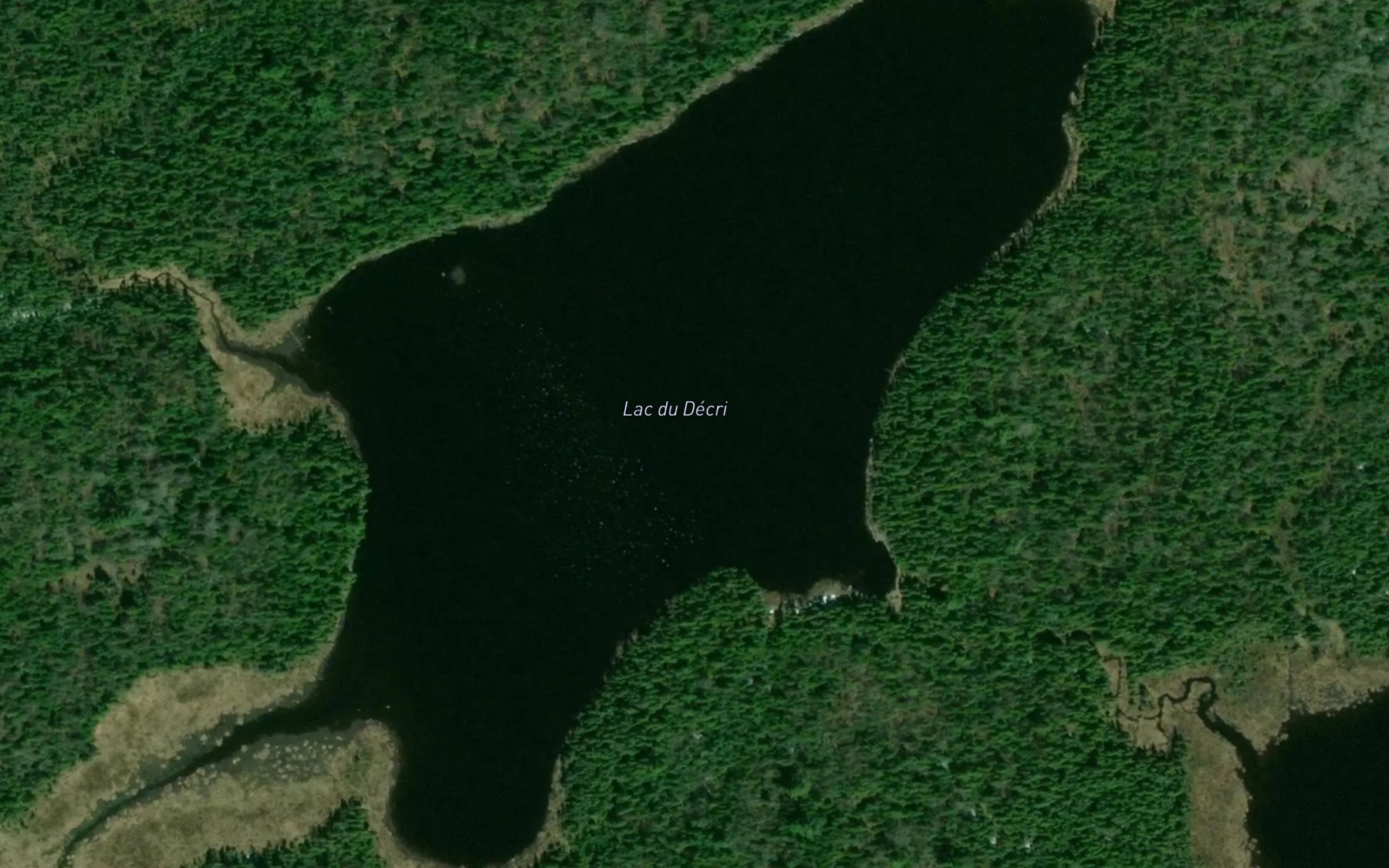 Satellite map of the Lac du Decri