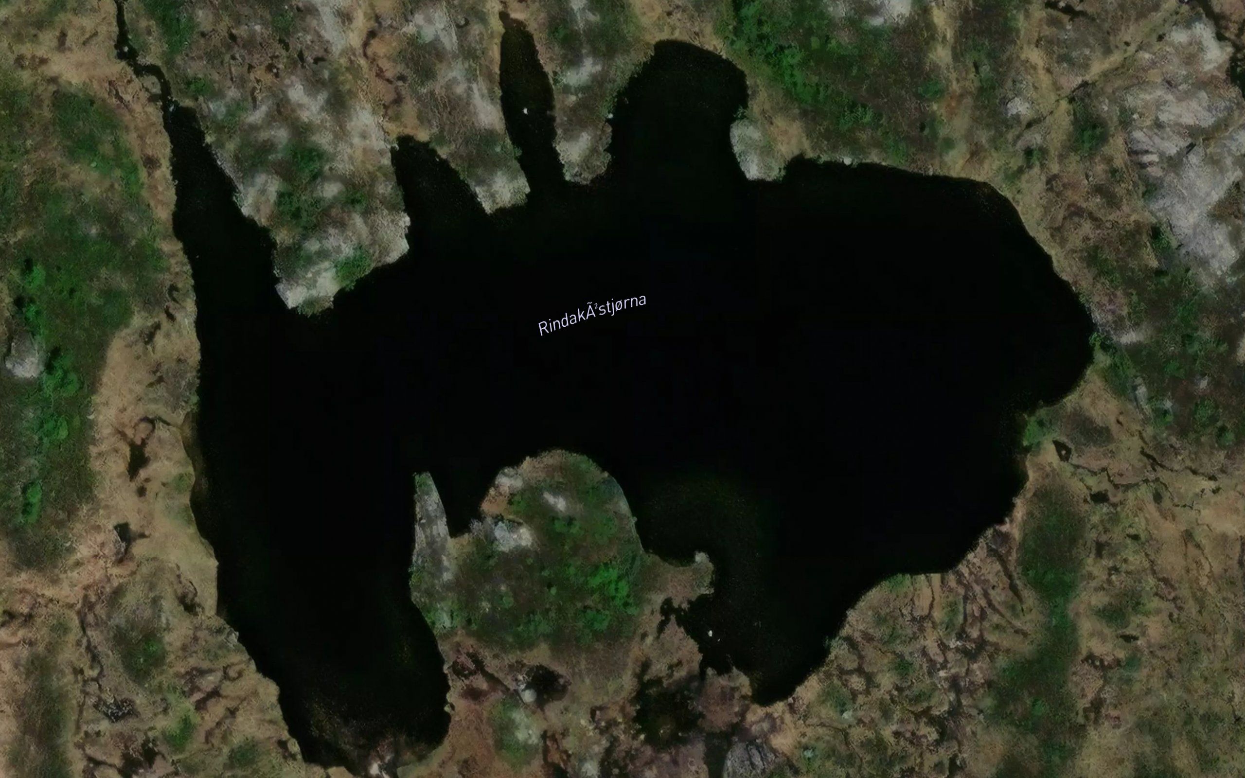 Rindakastjorna