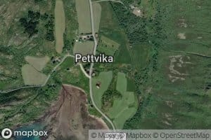 Pettvikelva