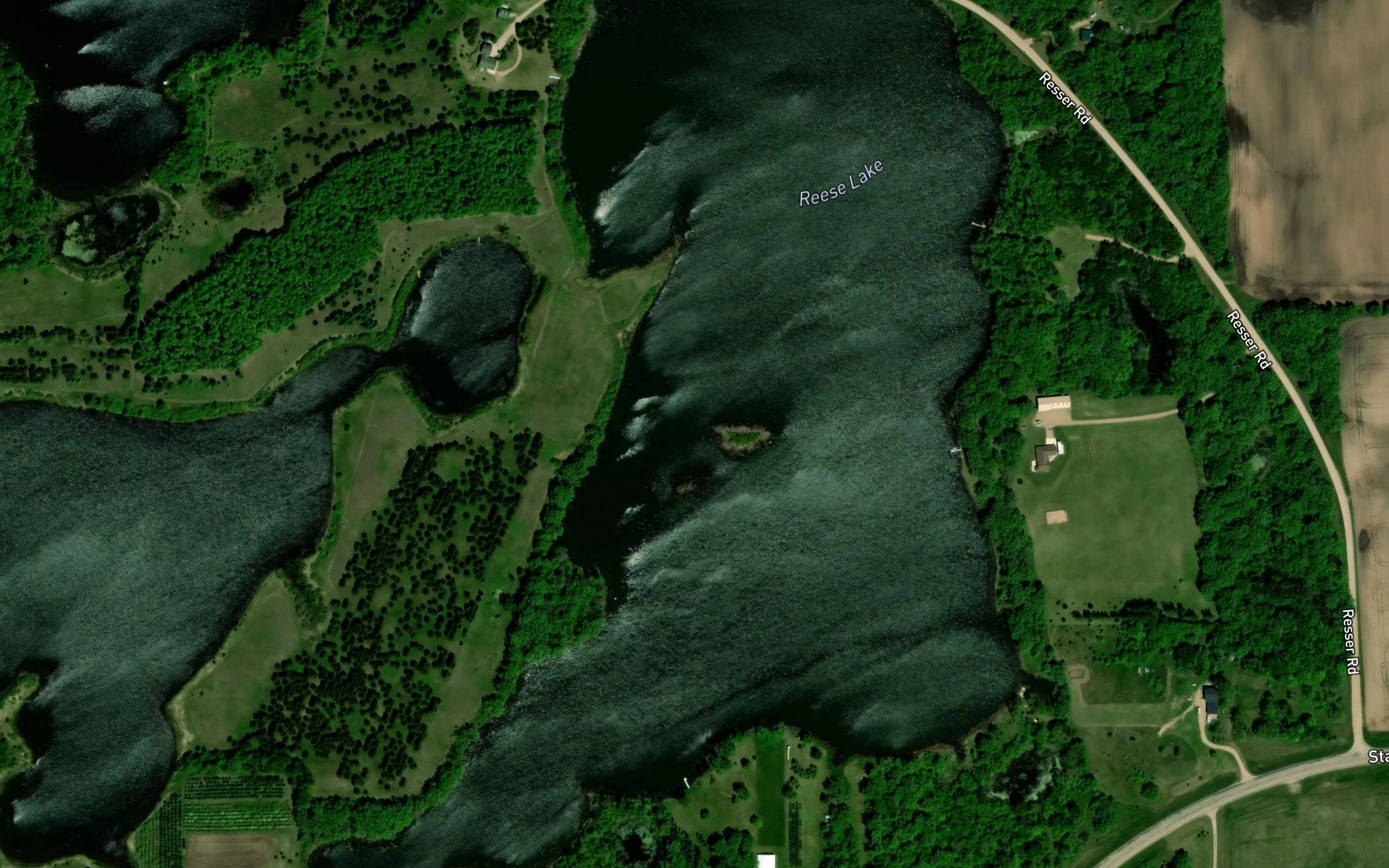 Reese Lake