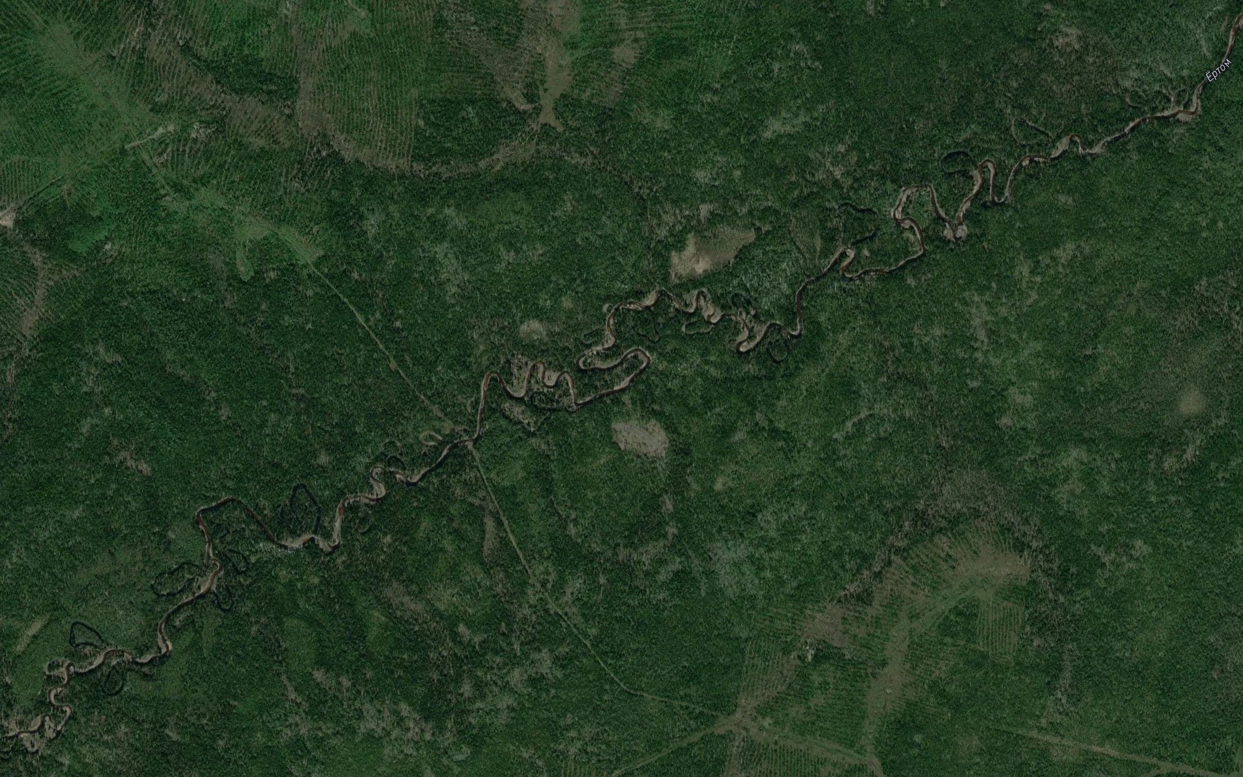 Satellite map of the Tret'yel'