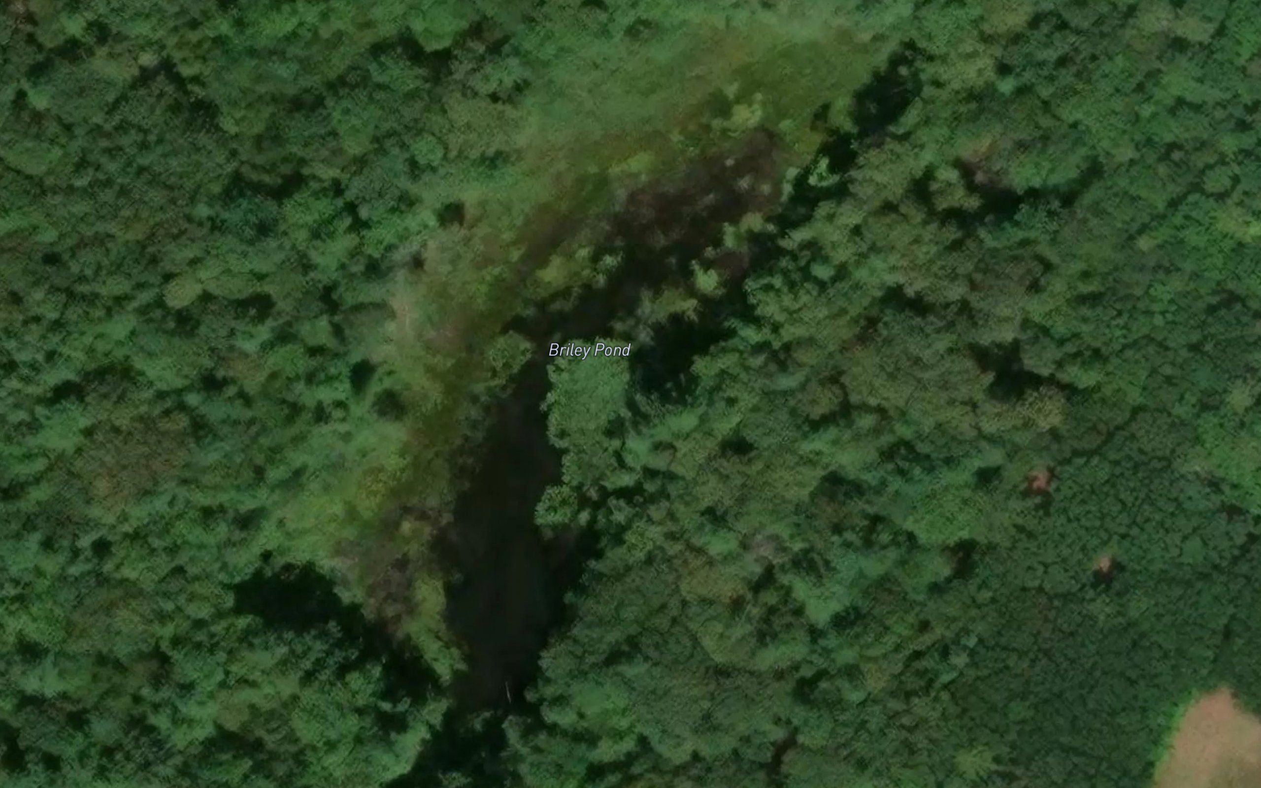 Briley Pond