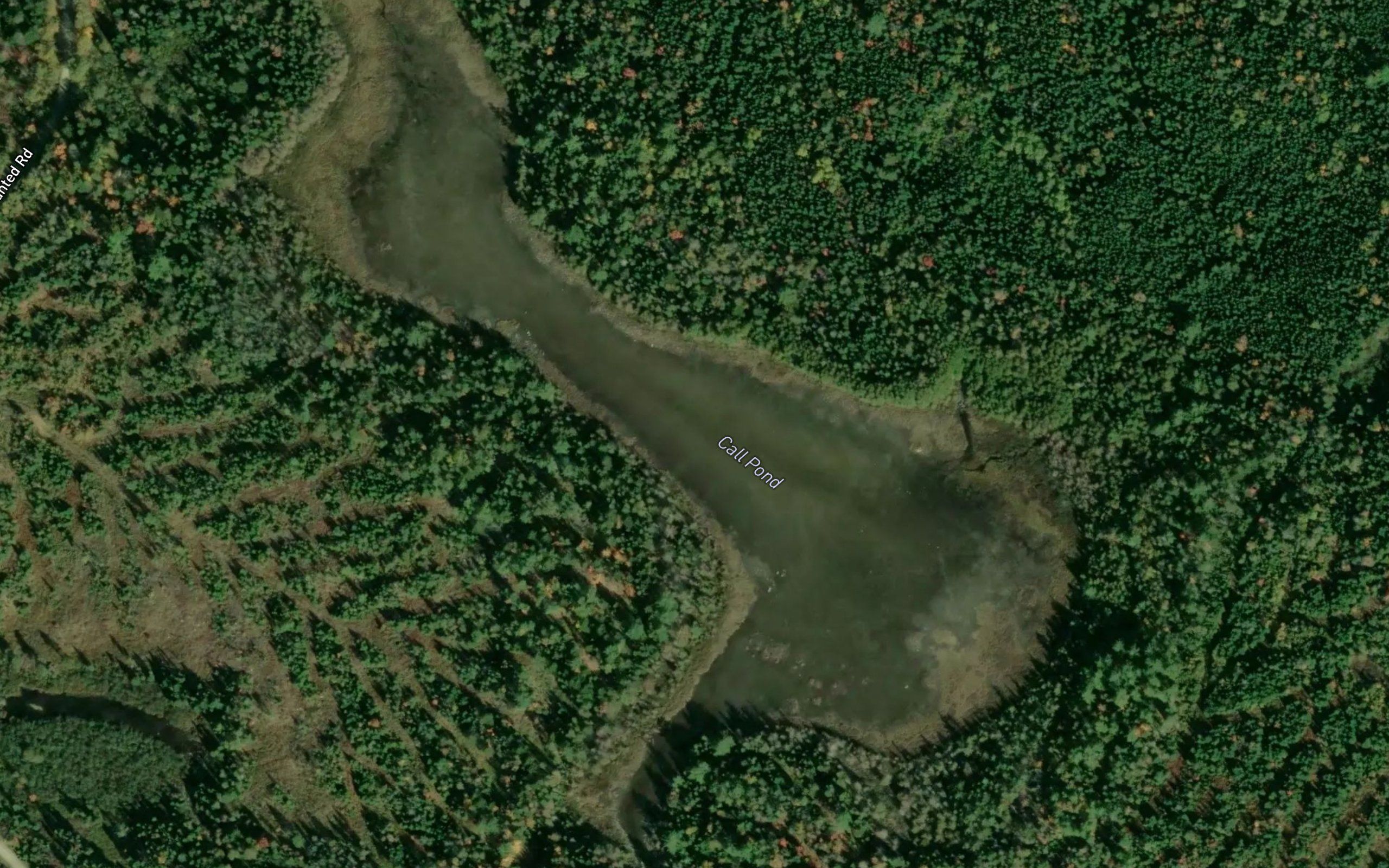 Call Pond
