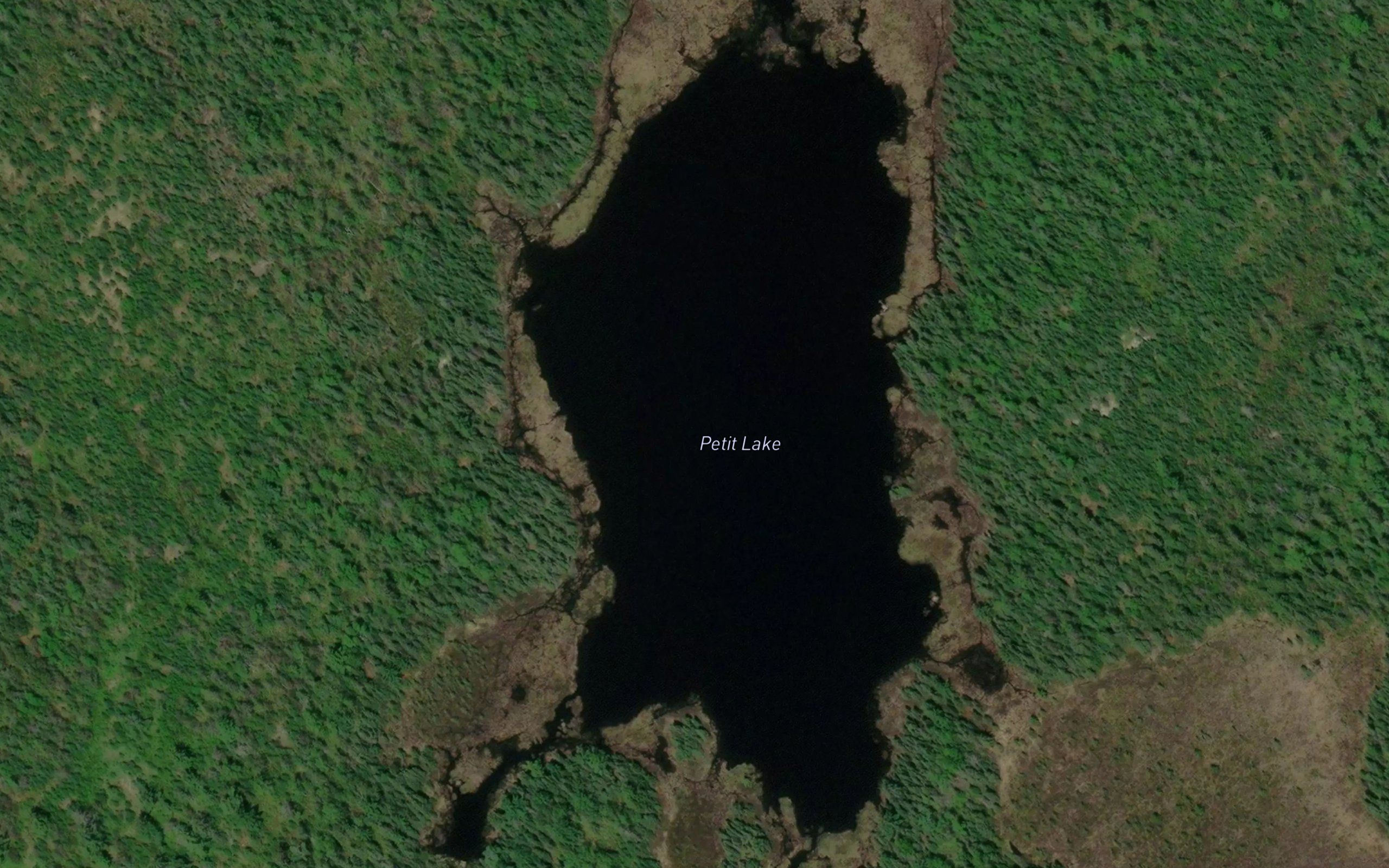 Petit Lake