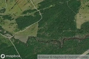 Wyser Bottom