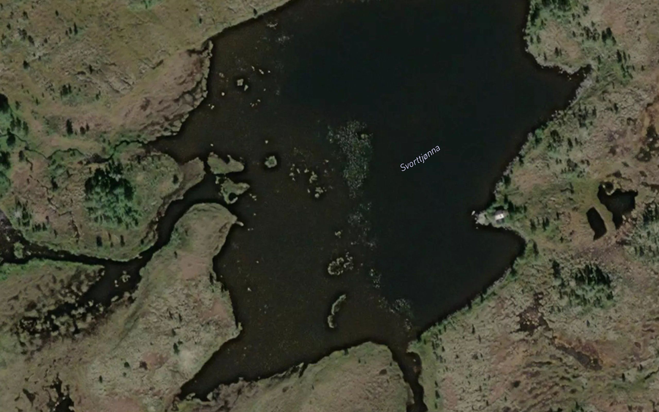 Svorttjorna