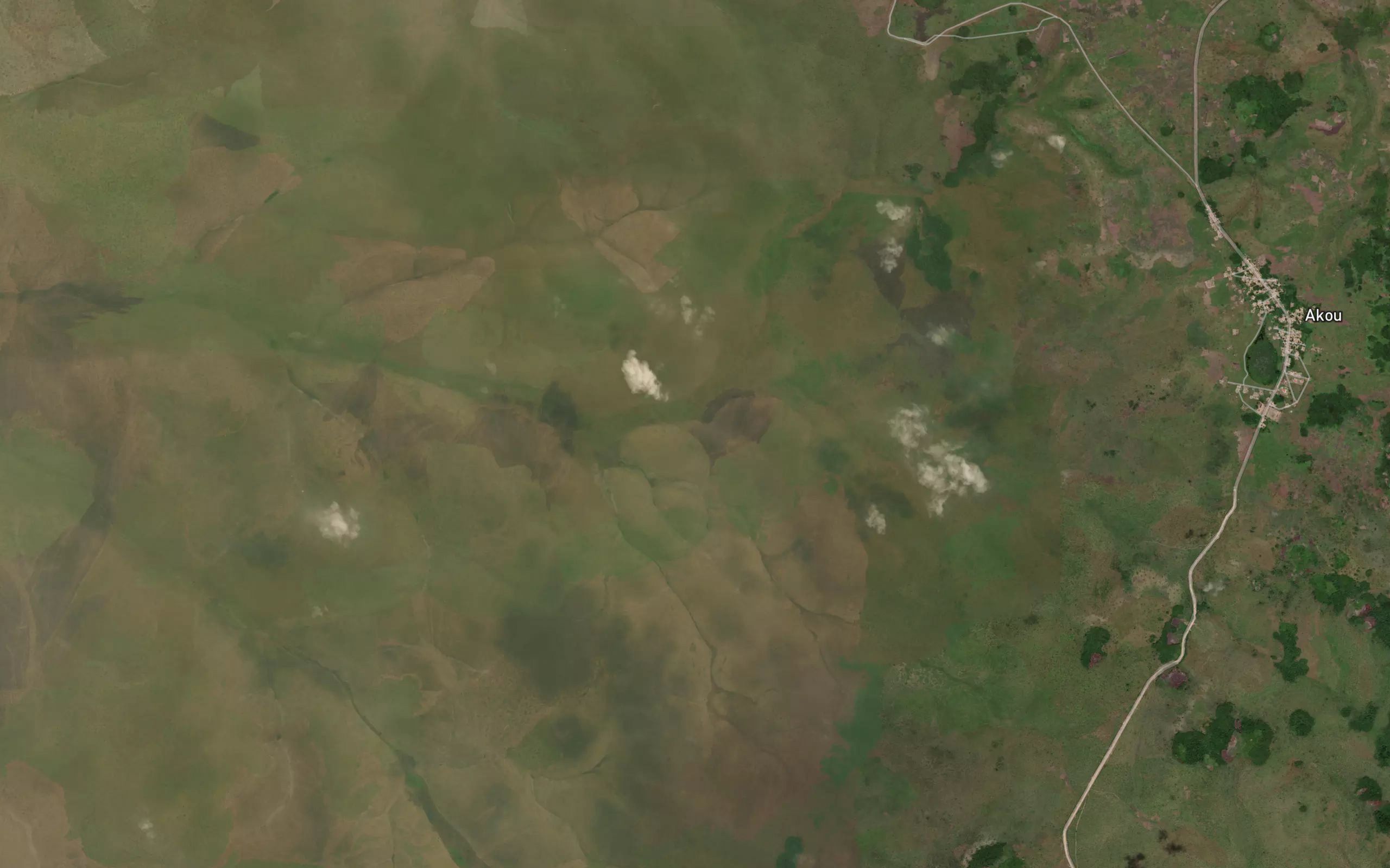 Ngampe