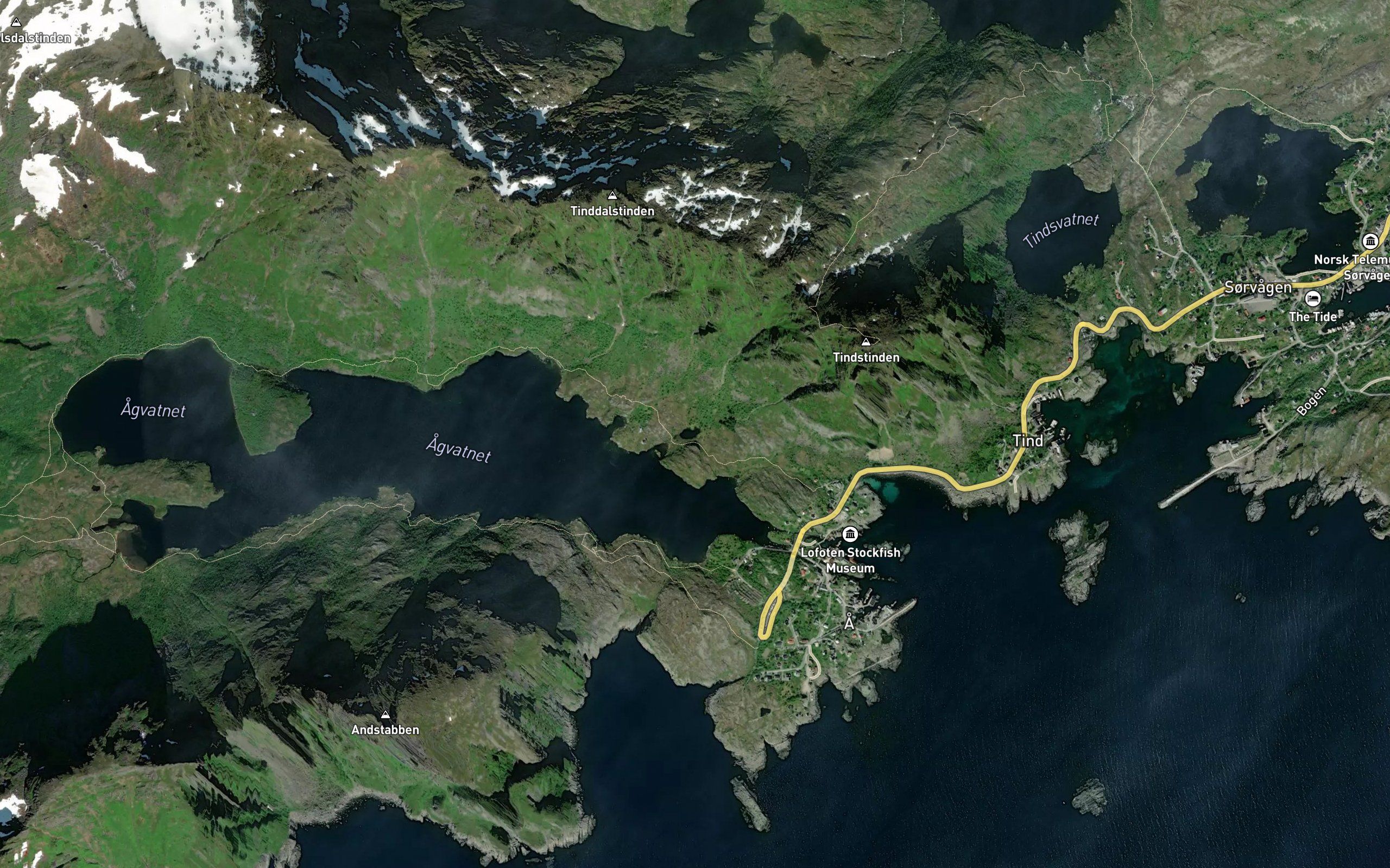 Tjonn-tjonna