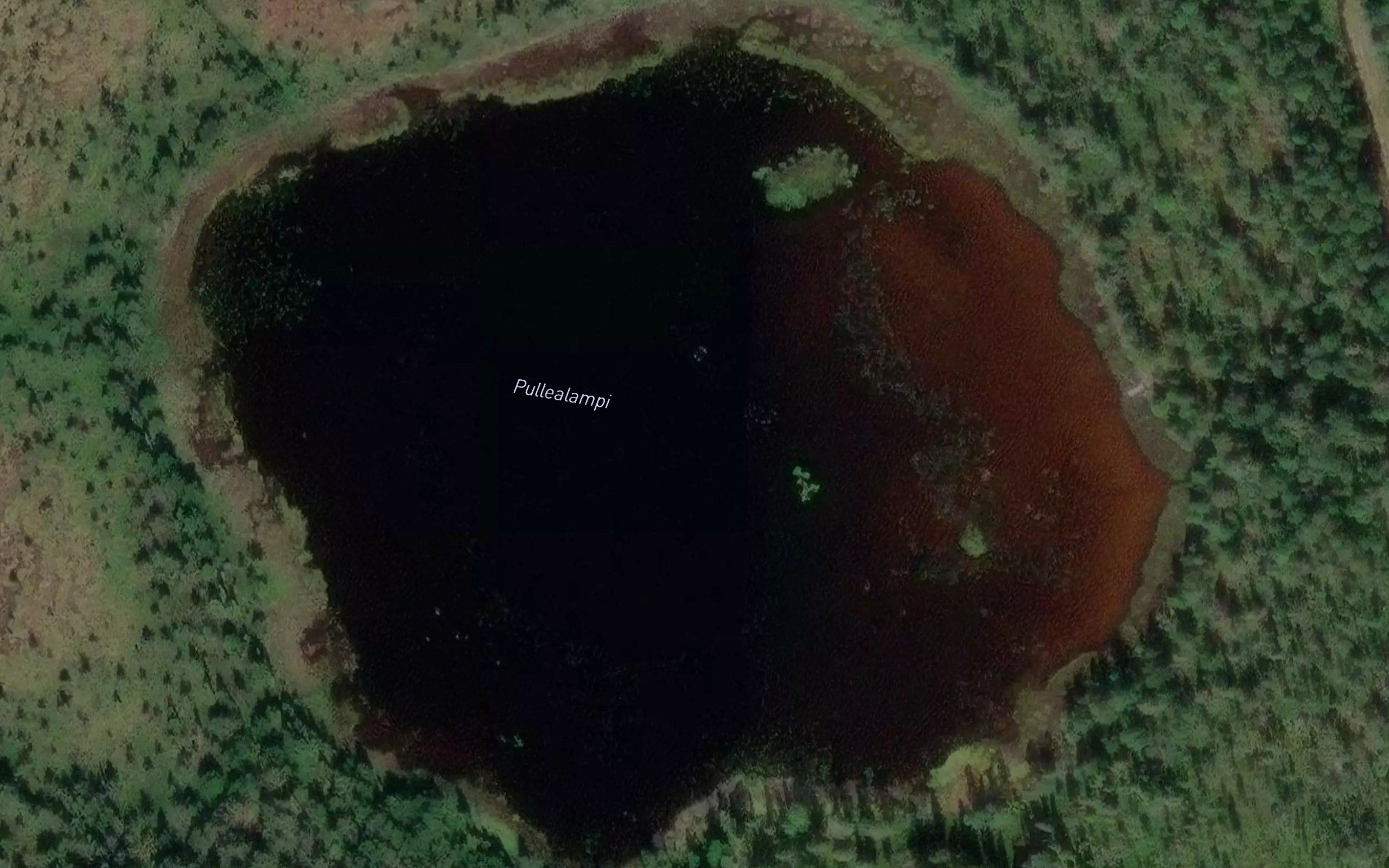 Pullealampi